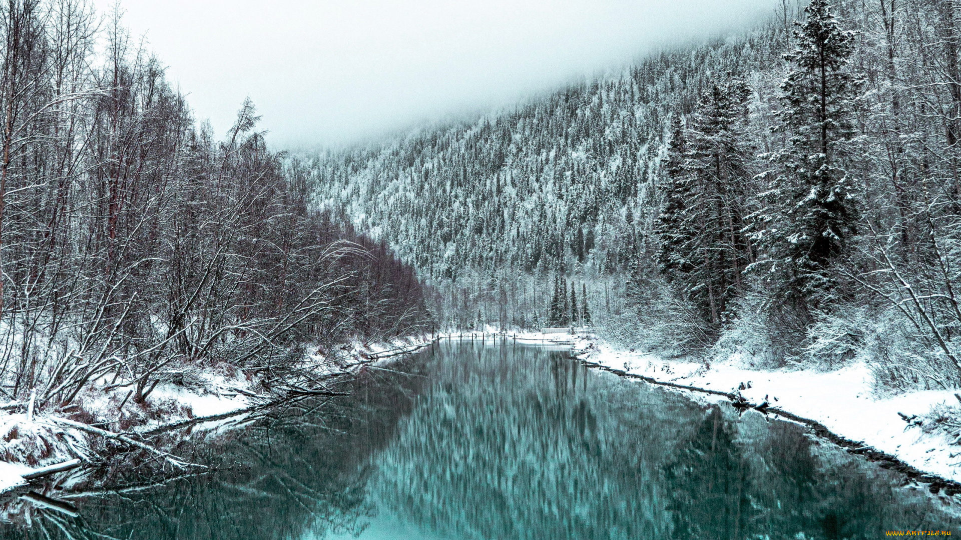 природа, реки, озера, зима, река, снег