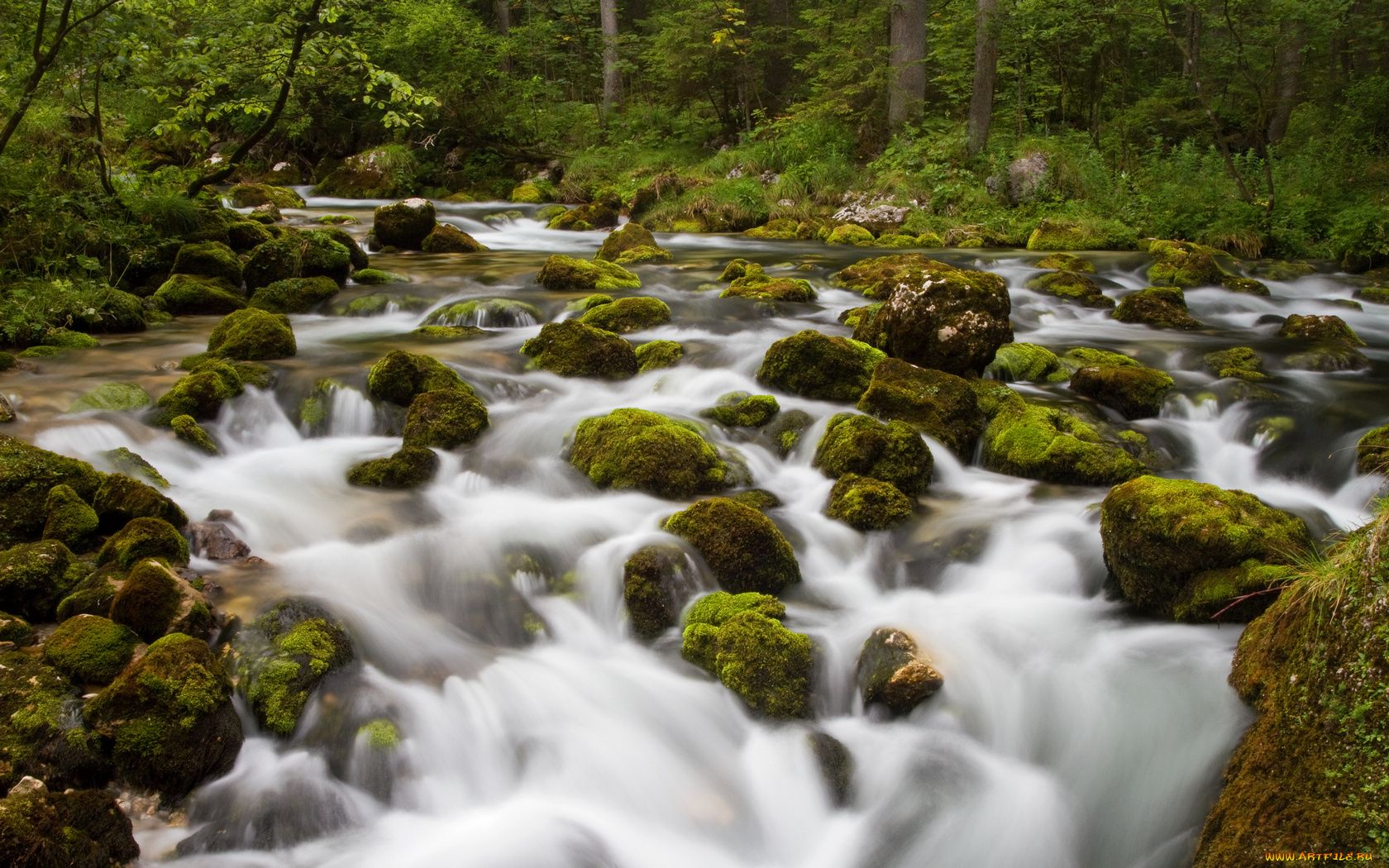 природа, реки, озера, река, камни