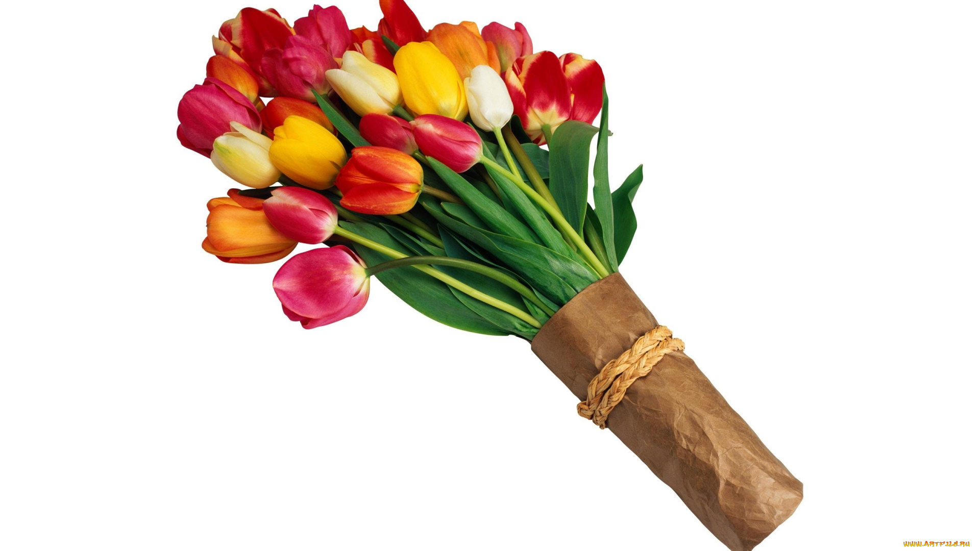цветы, тюльпаны, упаковка