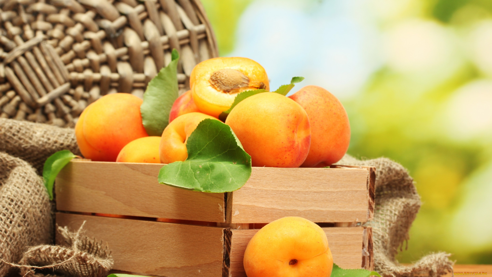еда, персики, , сливы, , абрикосы, apricot, фрукты, абрикосы