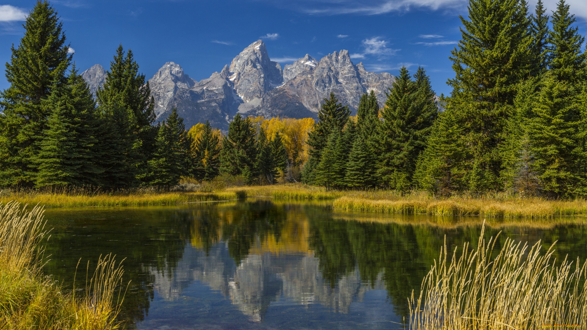 природа, реки, озера, лес, отражение, трава, осень, деревья, озеро, горы, wyoming, grand, teton, сша