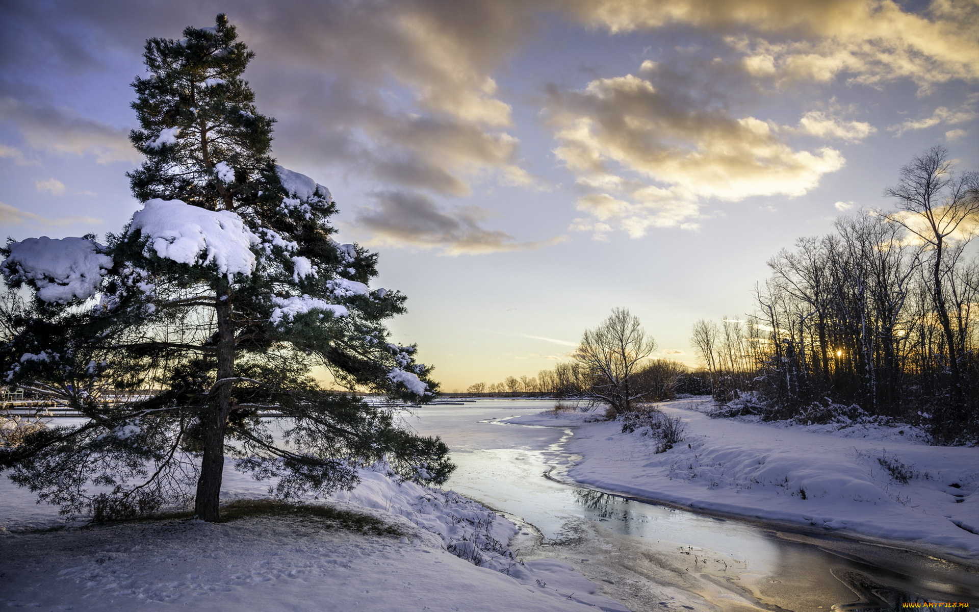 природа, зима, река, дерево, снег