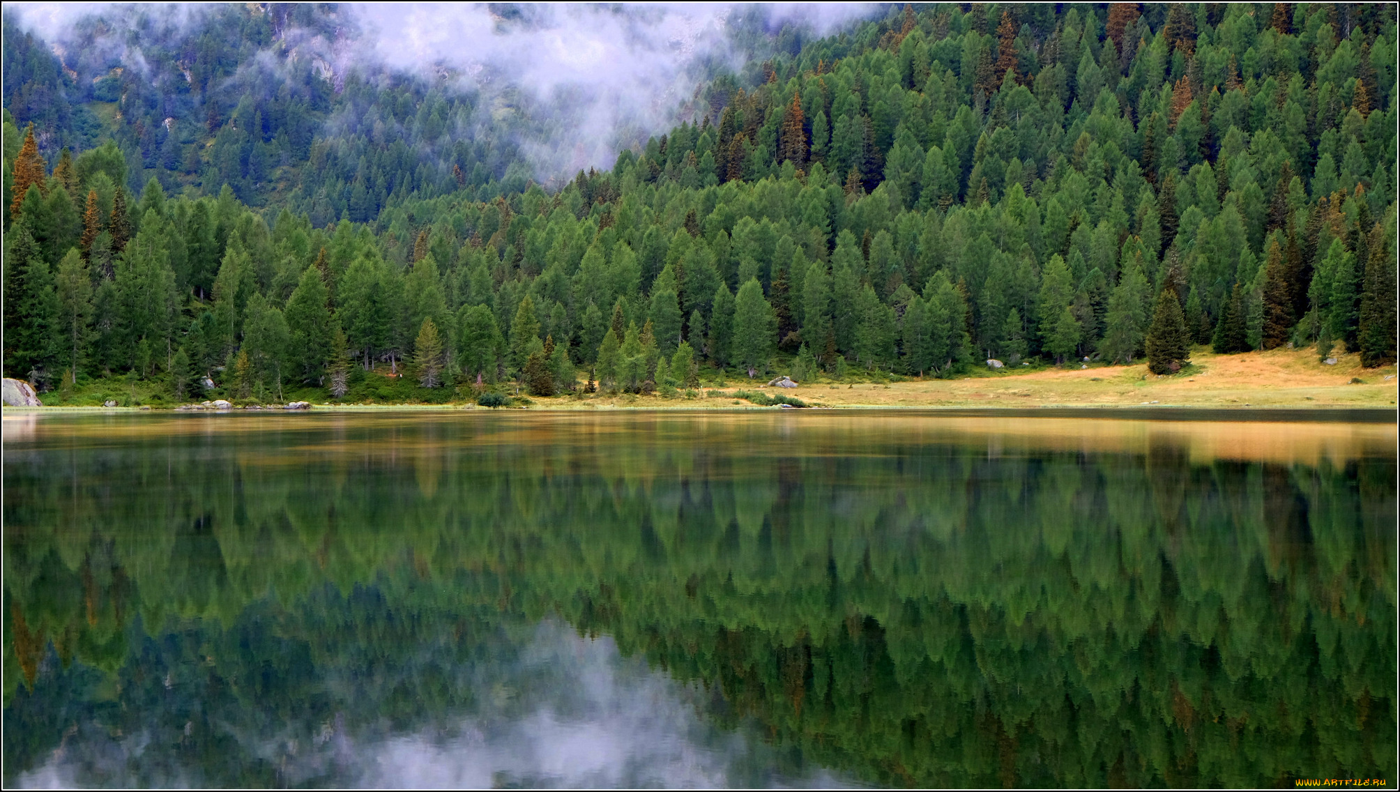 природа, реки, озера, озеро, лес, деревья, отражение