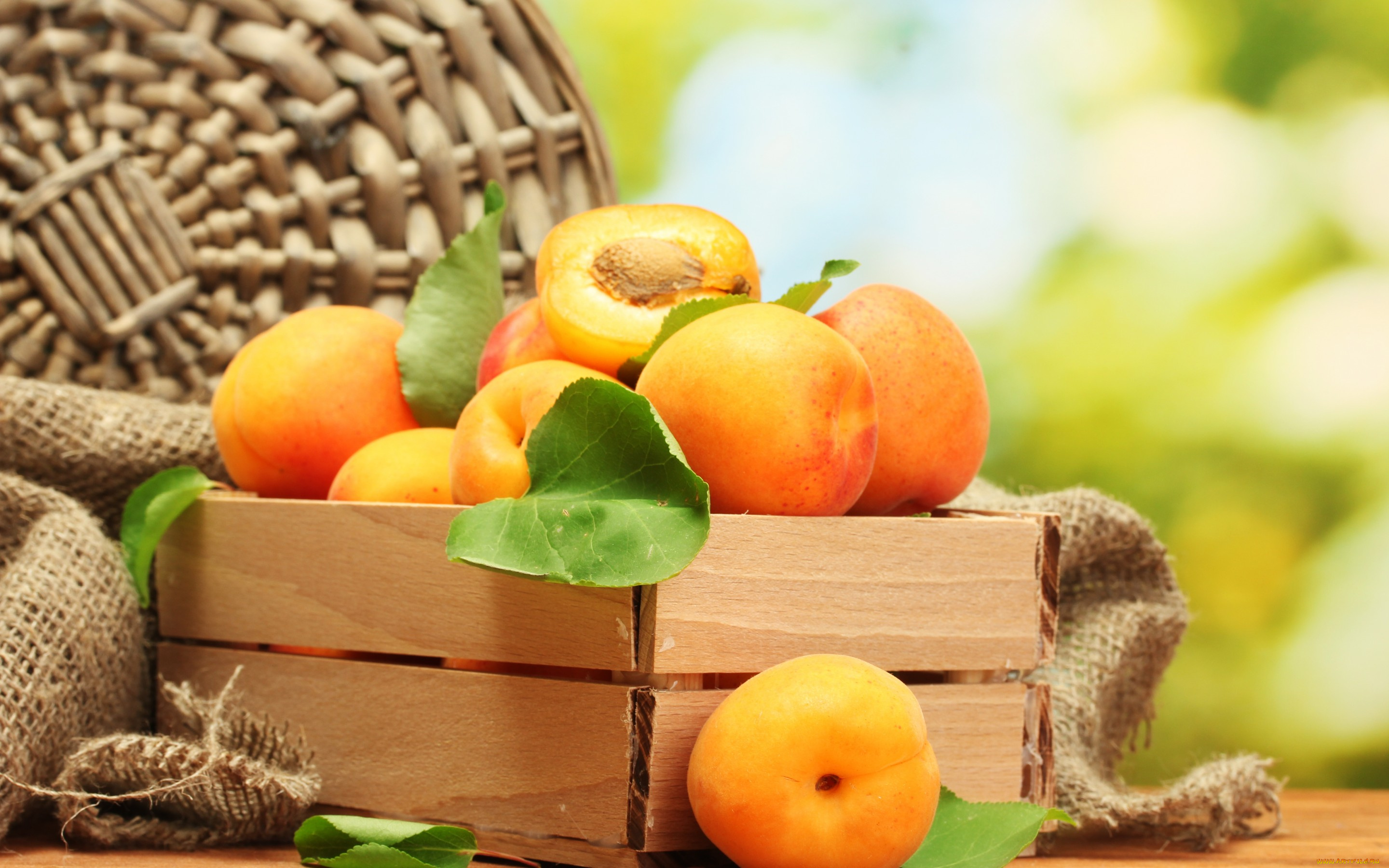 еда, персики, , сливы, , абрикосы, apricot, фрукты, абрикосы
