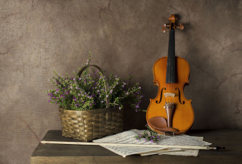 Картинка музыка -музыкальные+инструменты скрипка ноты корзина цветы