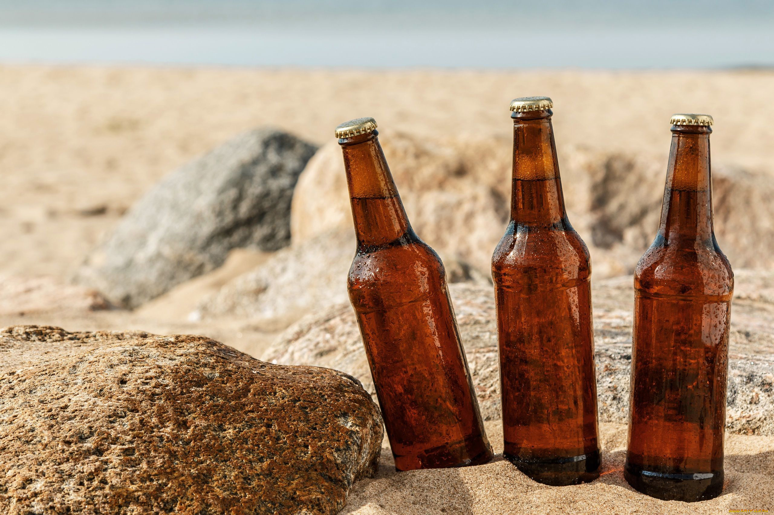 еда, напитки, , пиво, жара, бутылки, пиво, камни, песок, пляж