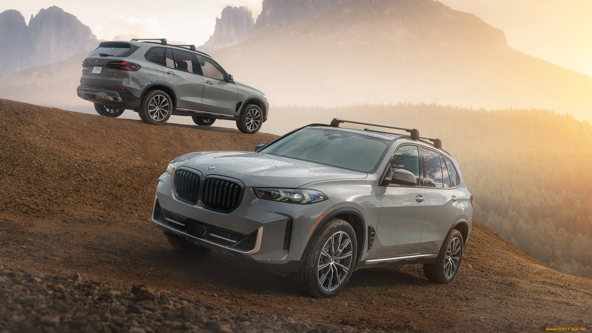 2025, bmw, x5, silver, anniversary, edition, автомобили, bmw, 2025, x5, silver, anniversary, edition, крoссoвeр, пара