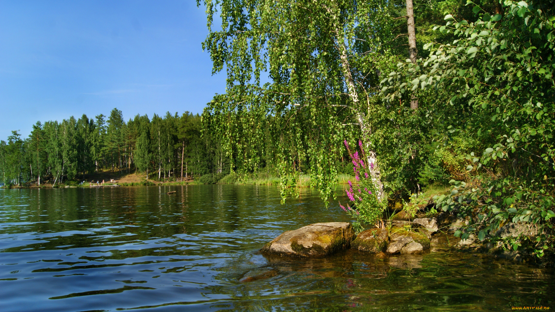 природа, реки, озера, пейзаж