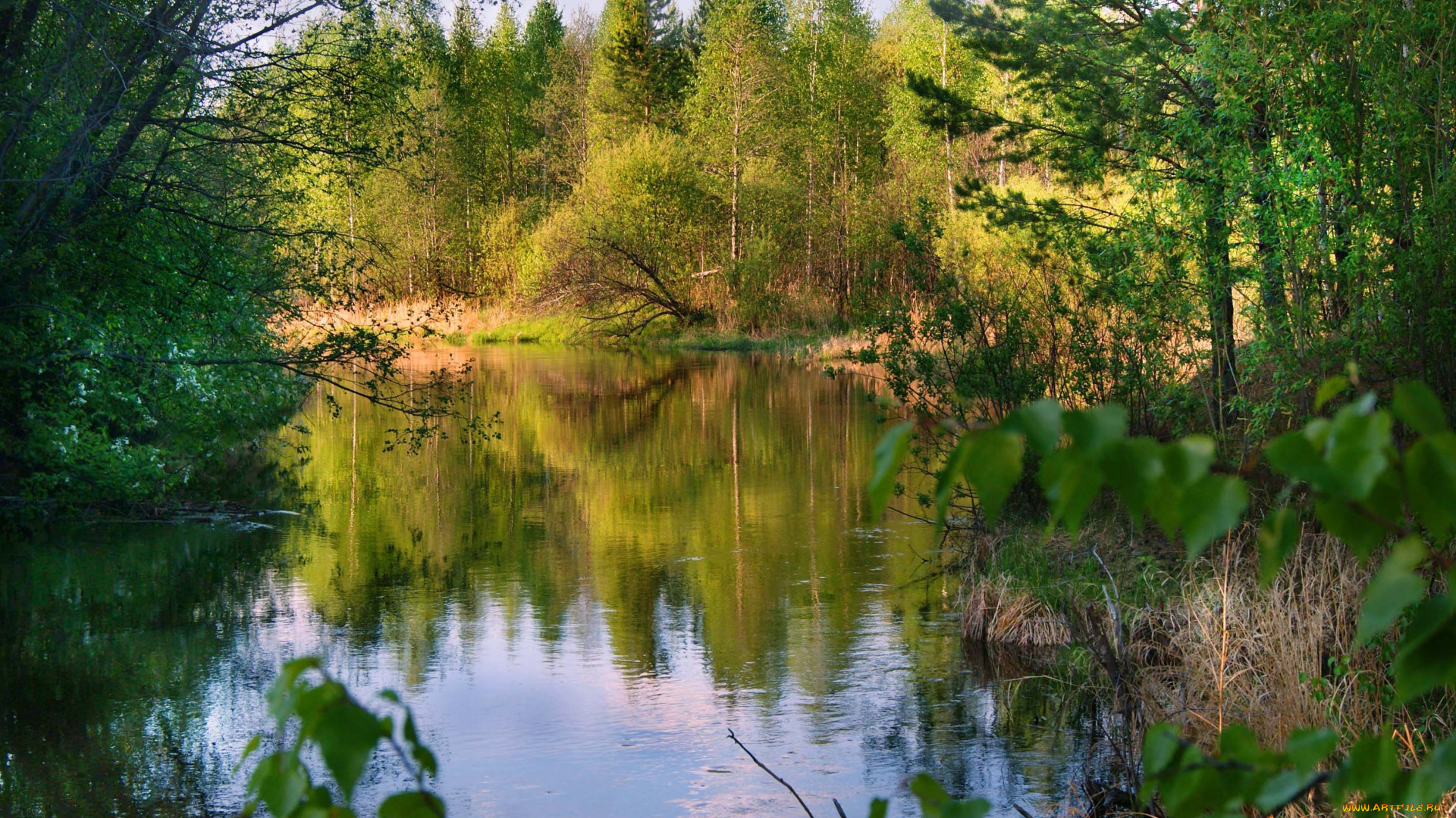 природа, реки, озера, вода