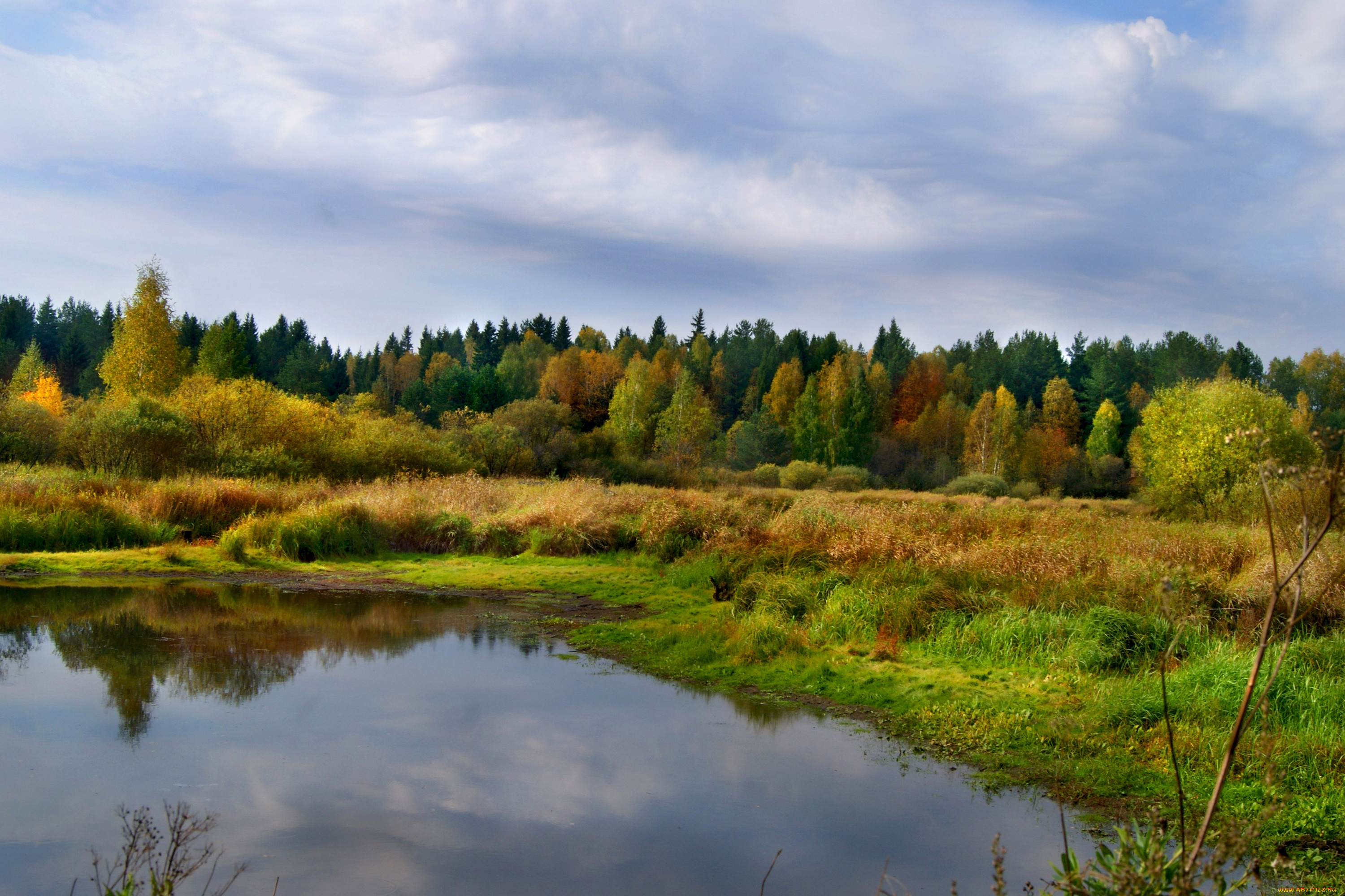 природа, реки, озера, осень