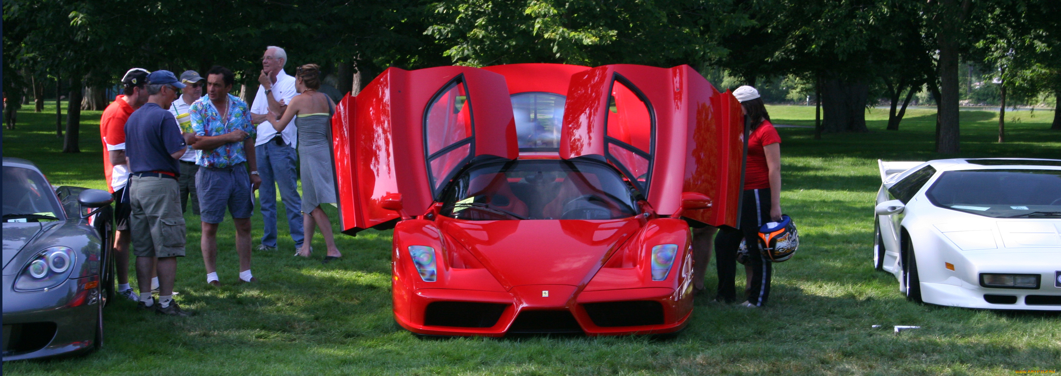 2003, ferrari, enzo, автомобили, выставки, уличные, фото, красота, автомобиль, изящество