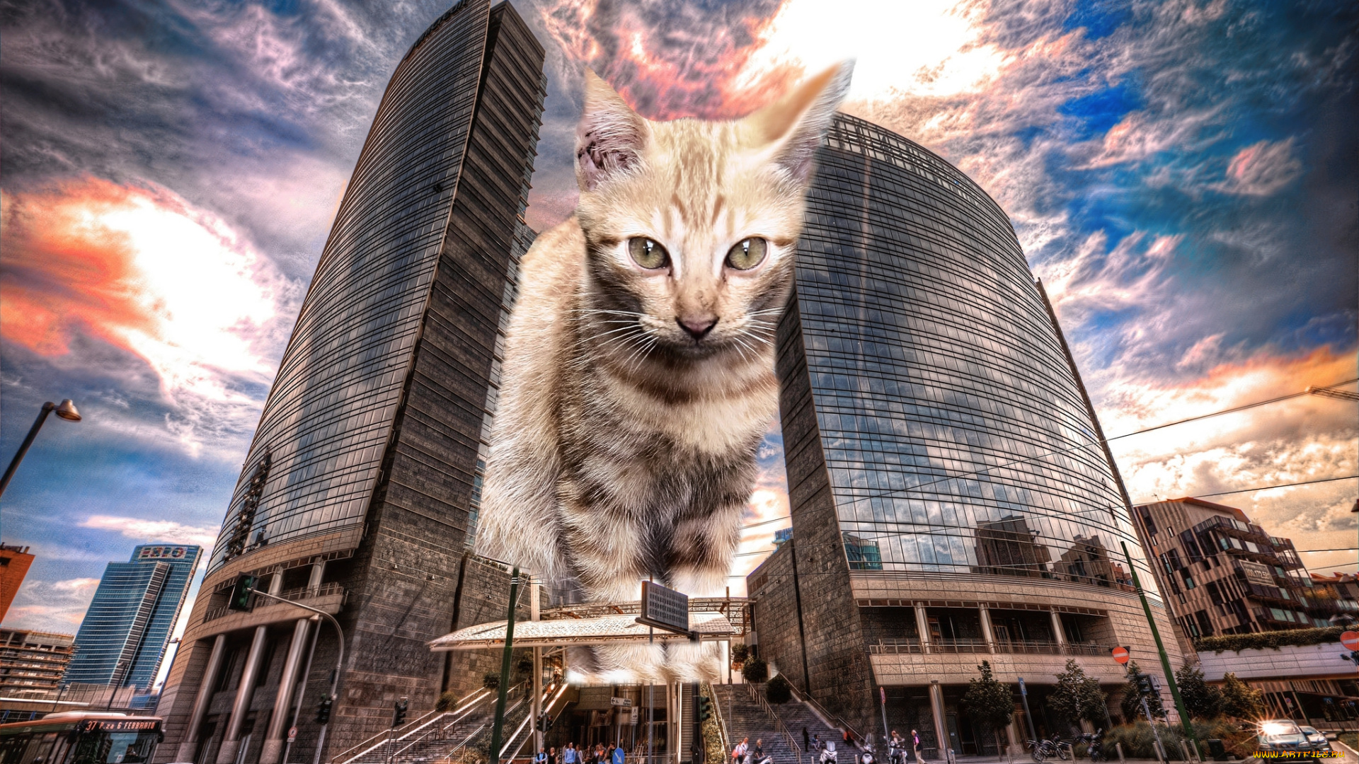 monster, cat, in, milan, разное, компьютерный, дизайн, кот, город