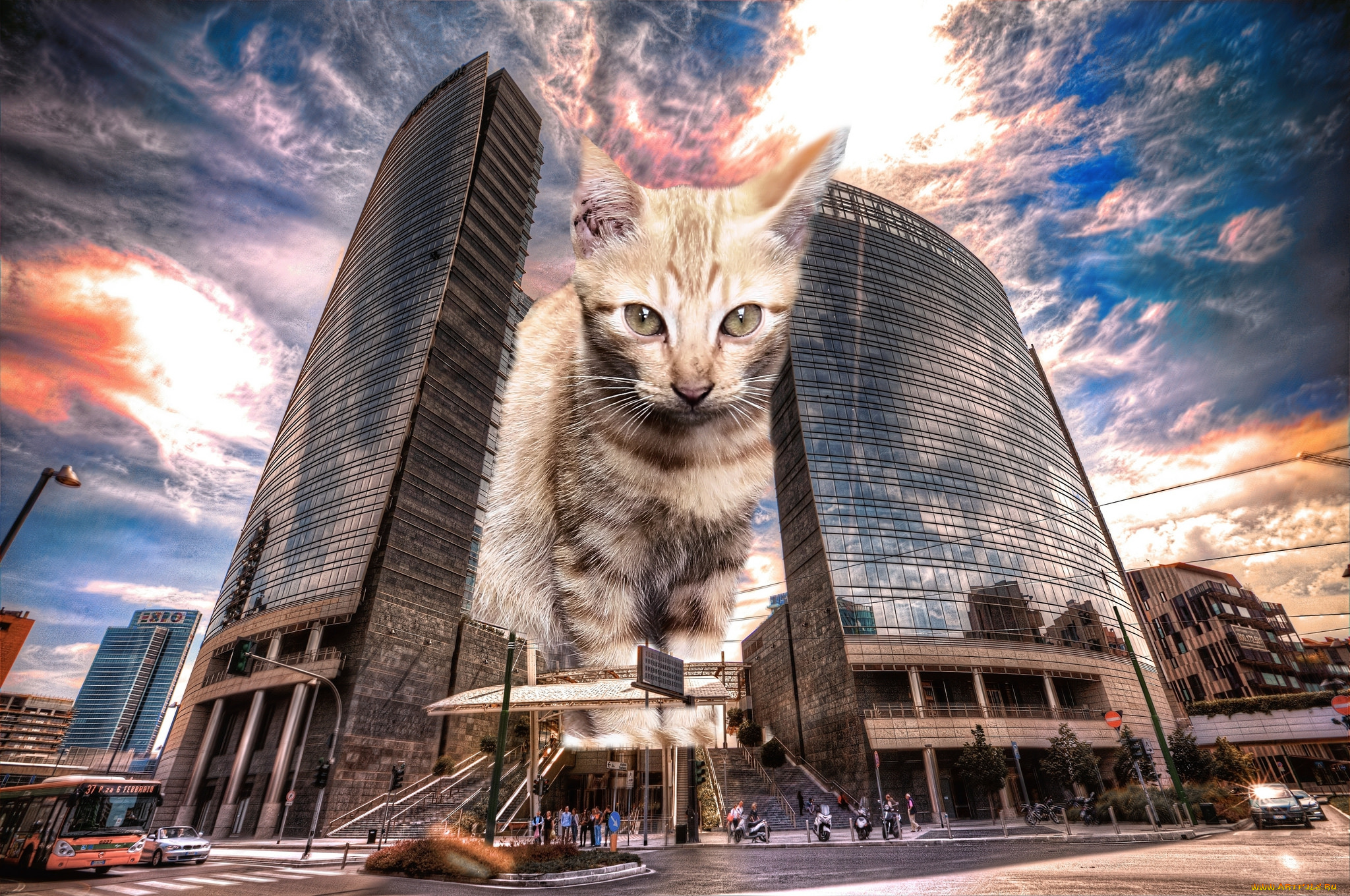 monster, cat, in, milan, разное, компьютерный, дизайн, кот, город