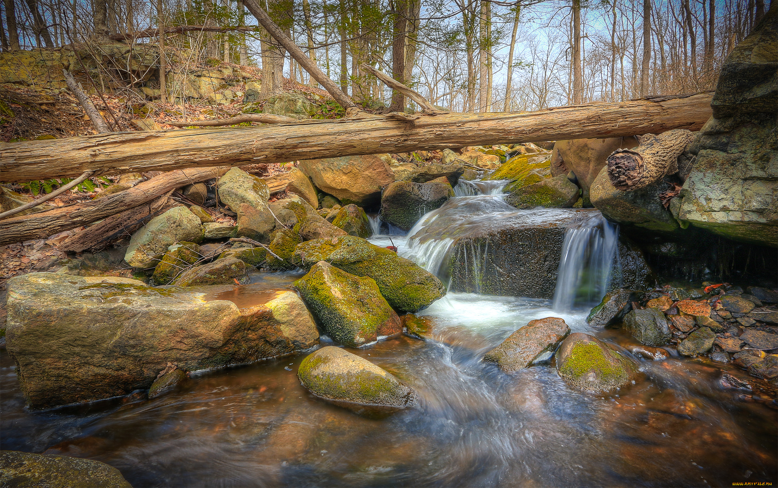 природа, реки, озера, trees, rocks, water