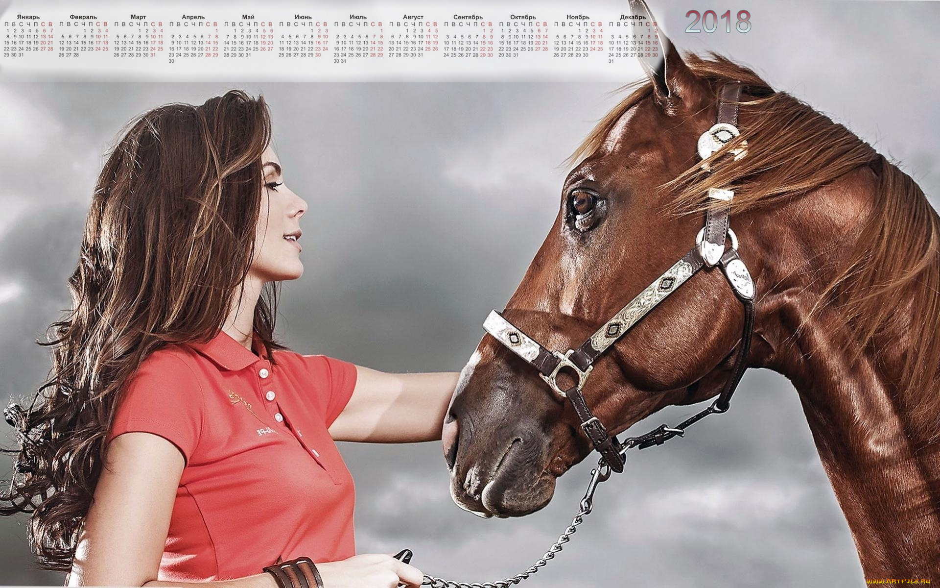 календари, девушки, лошадь