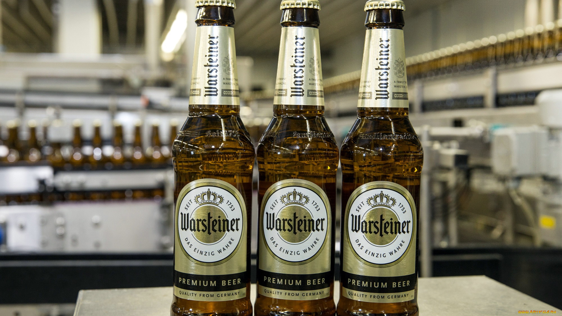 бренды, warsteiner, пиво