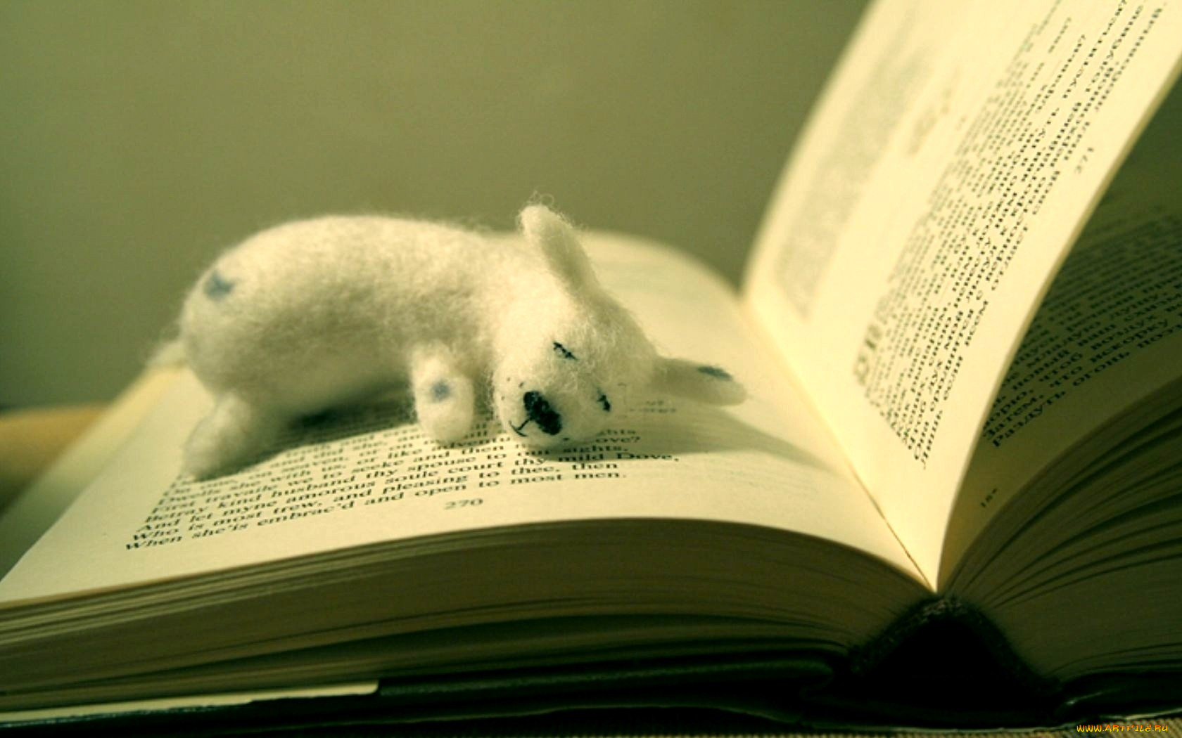 Любишь животных читай