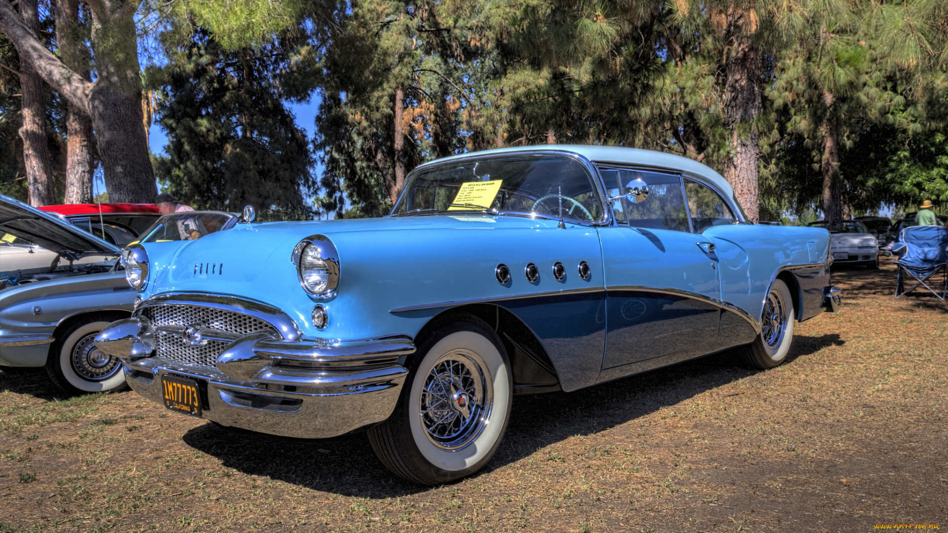 1955, buick, century, 2-door, hardtop, автомобили, выставки, и, уличные, фото, выставка, автошоу