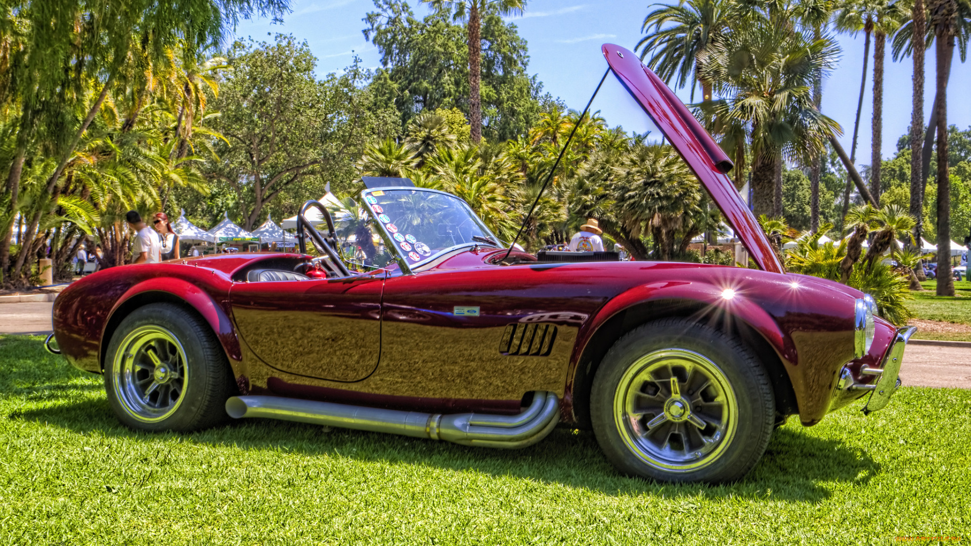 1964, shelby, cobra, 289, roadster, автомобили, выставки, и, уличные, фото, выставка, автошоу