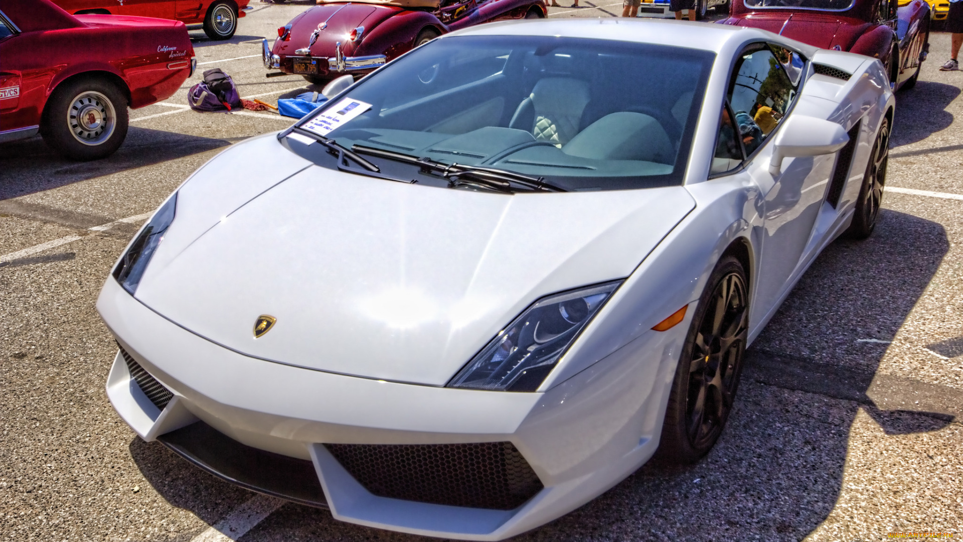 2010, lamborghini, gallardo, lp560-4, автомобили, выставки, и, уличные, фото, выставка, автошоу