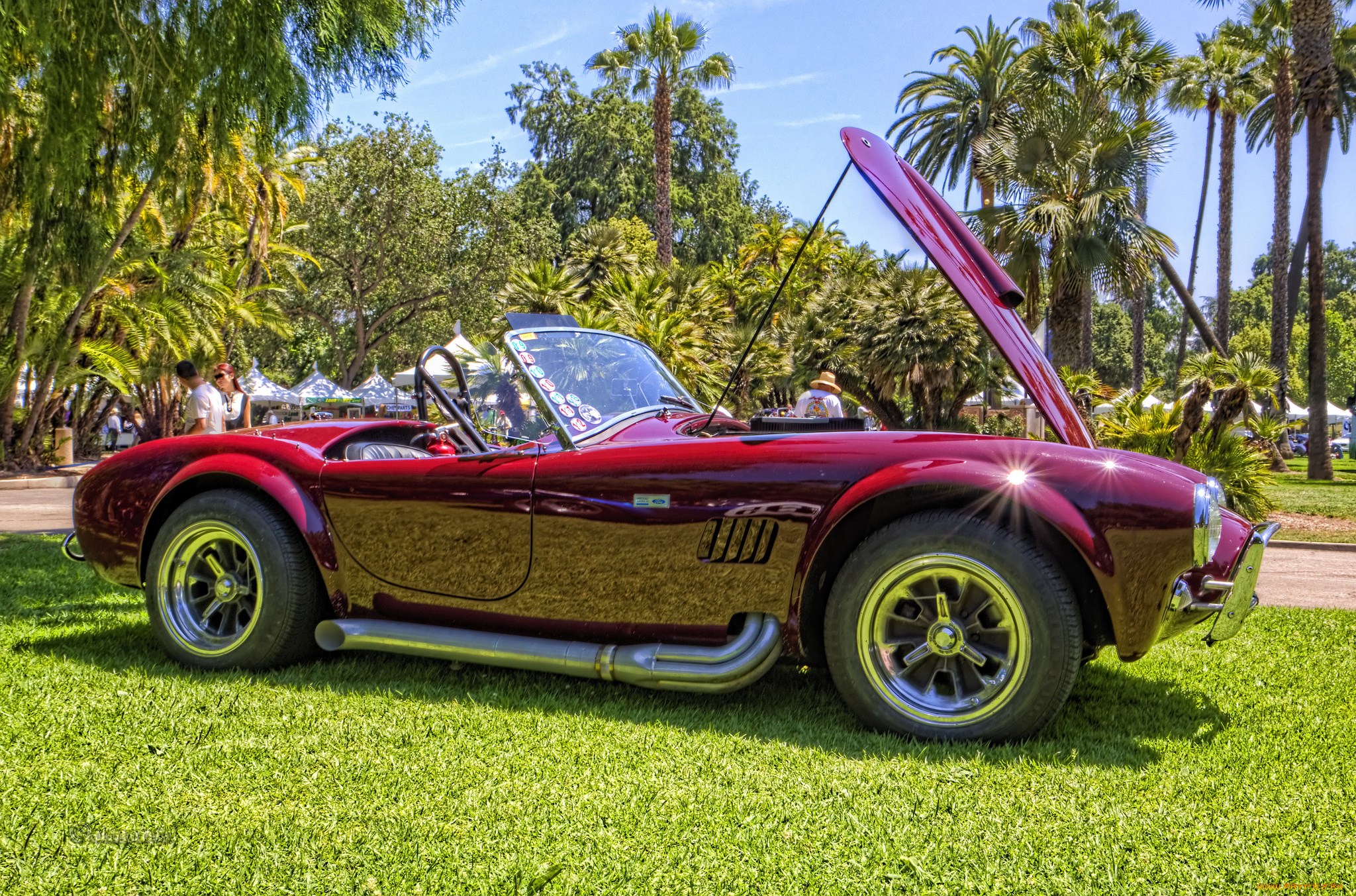 1964, shelby, cobra, 289, roadster, автомобили, выставки, и, уличные, фото, выставка, автошоу