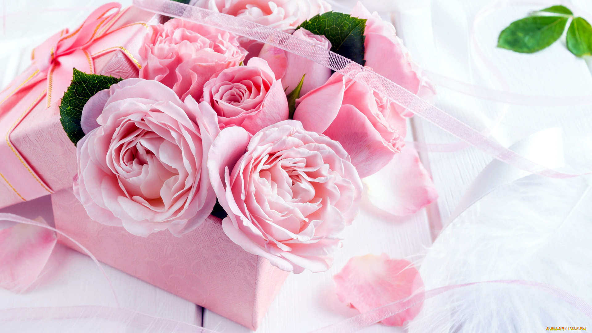 цветы, розы, коробка, розовые, подарок