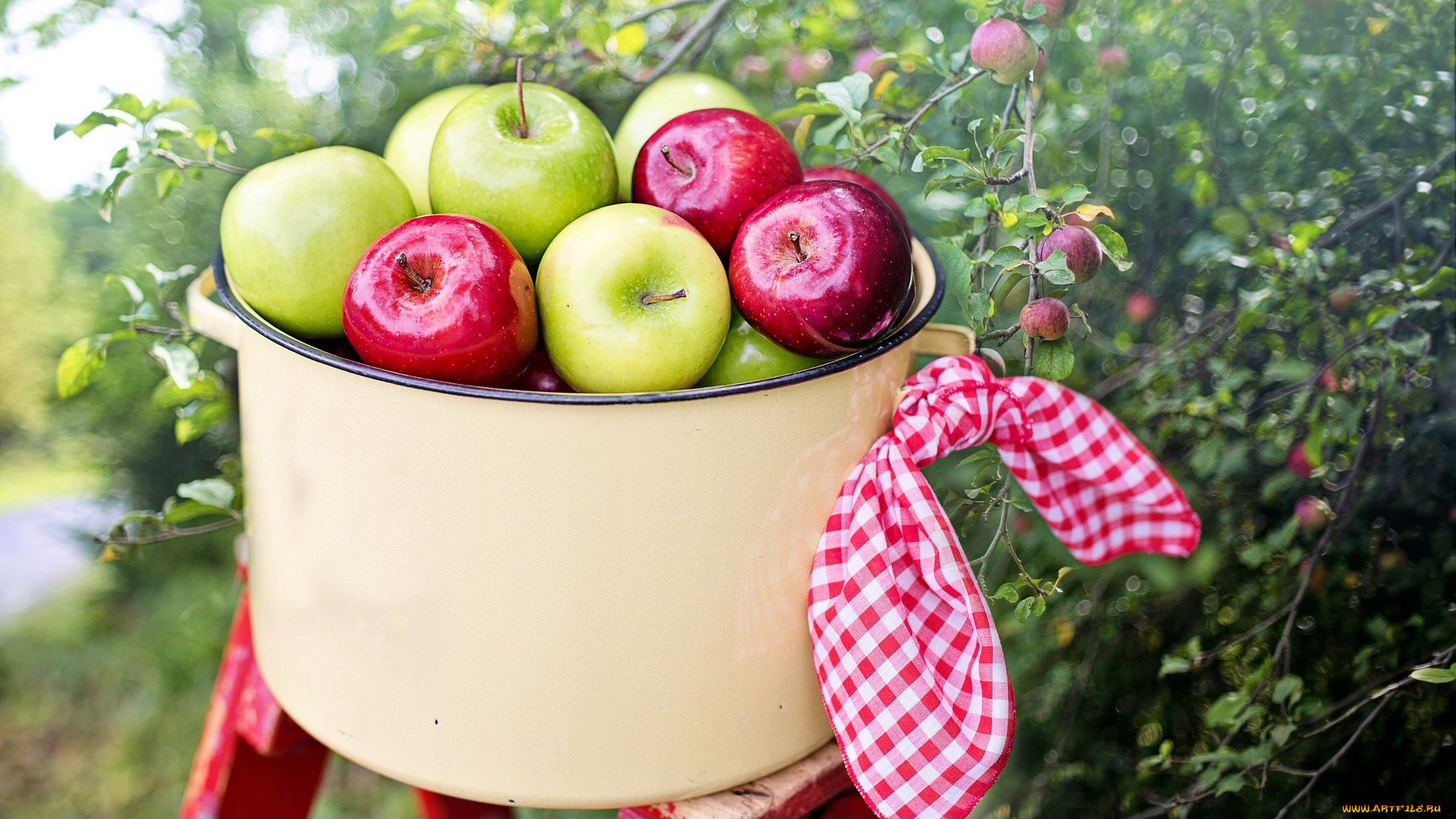 еда, яблоки, сад, кастрюля, платок