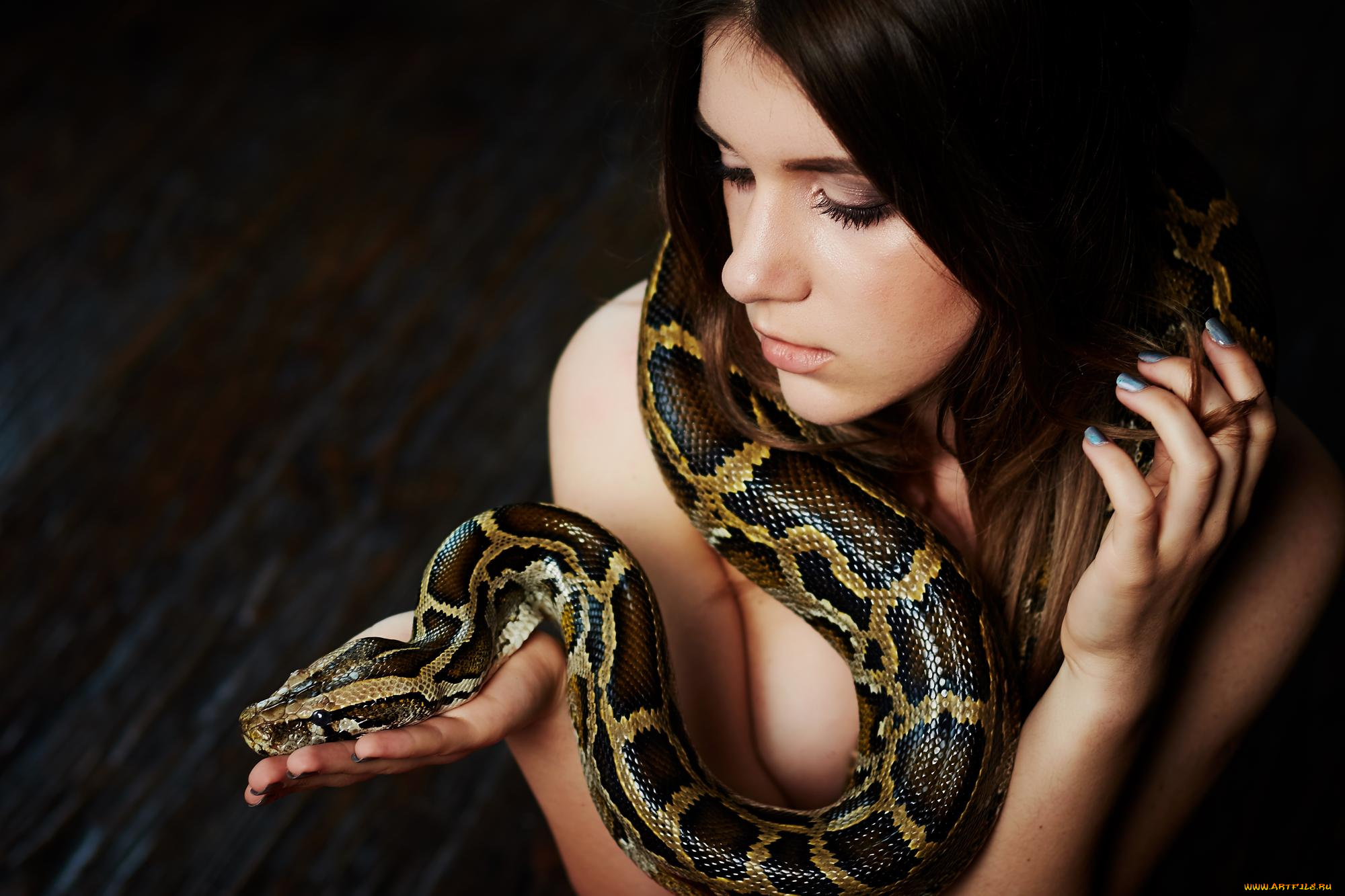 She snake. Lilit Snake модель. Анаконда змея. Анаконда питон и женщина. Красивые девушки со змеями.