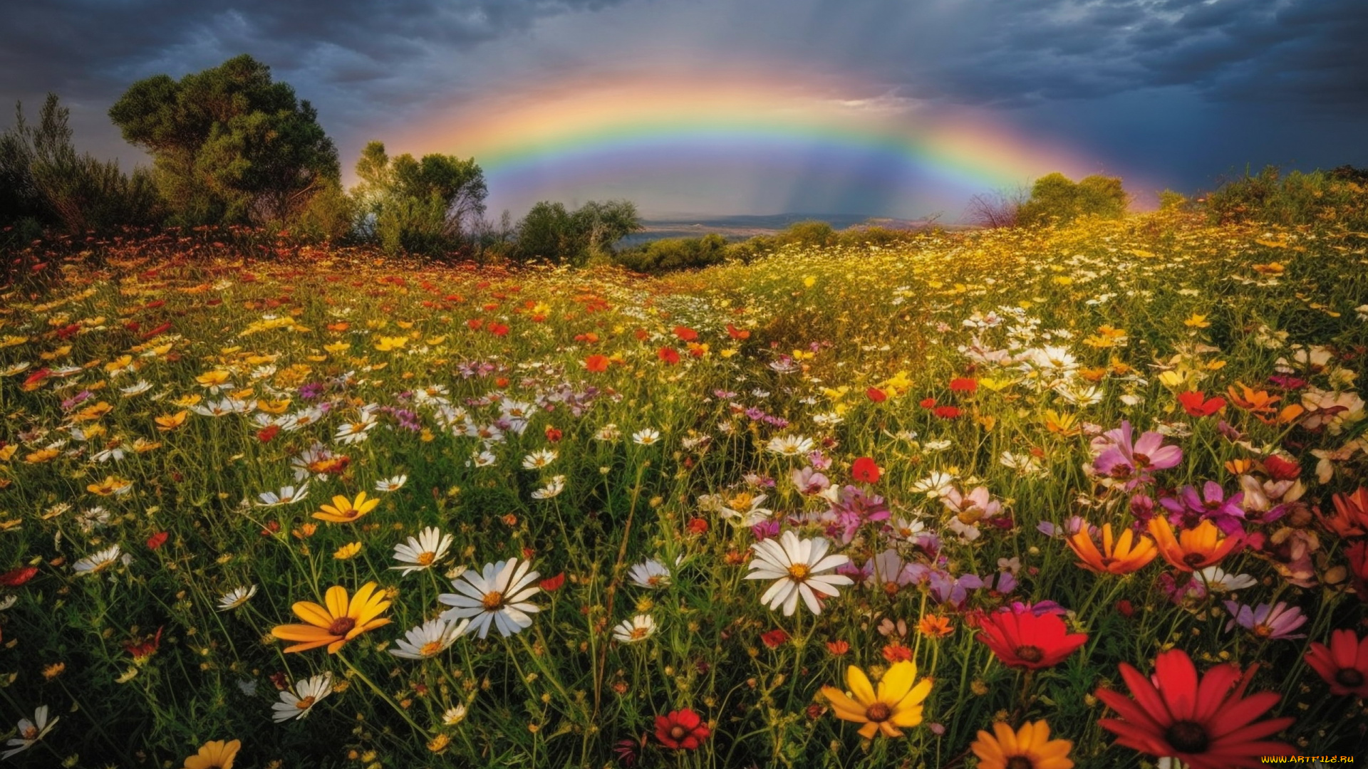 природа, радуга, небо, тучи, луг, цветы