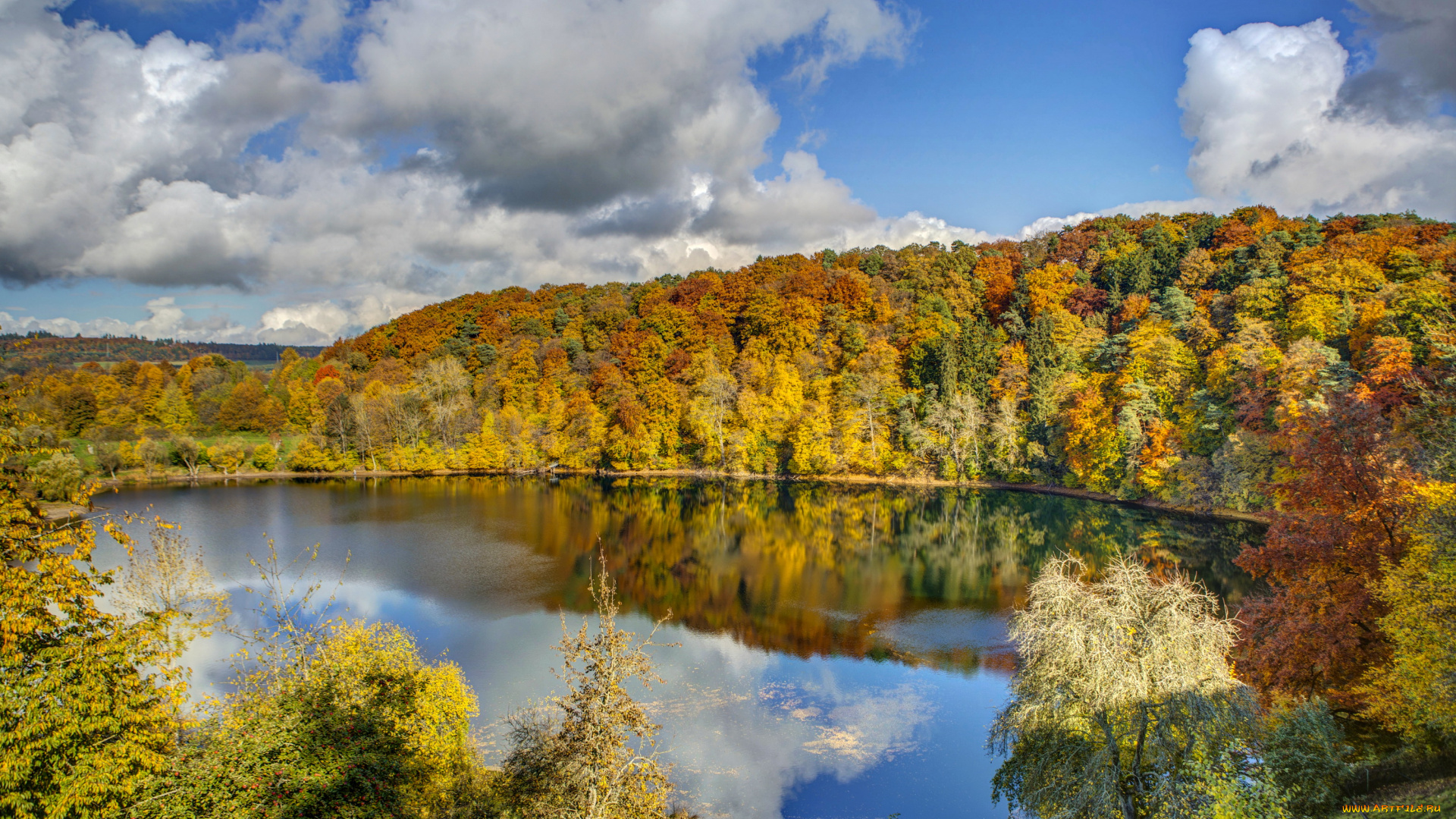 германия, ульмен, природа, реки, озера, река, осень, лес