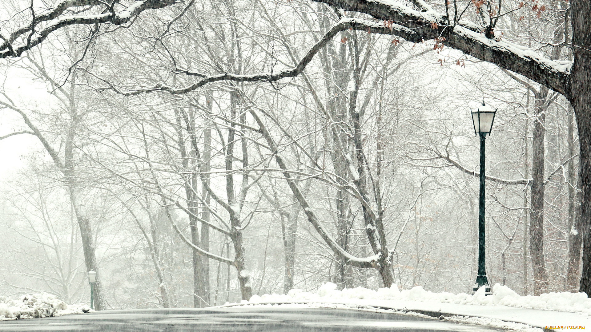 природа, зима, снег, дорога, деревья, пейзаж