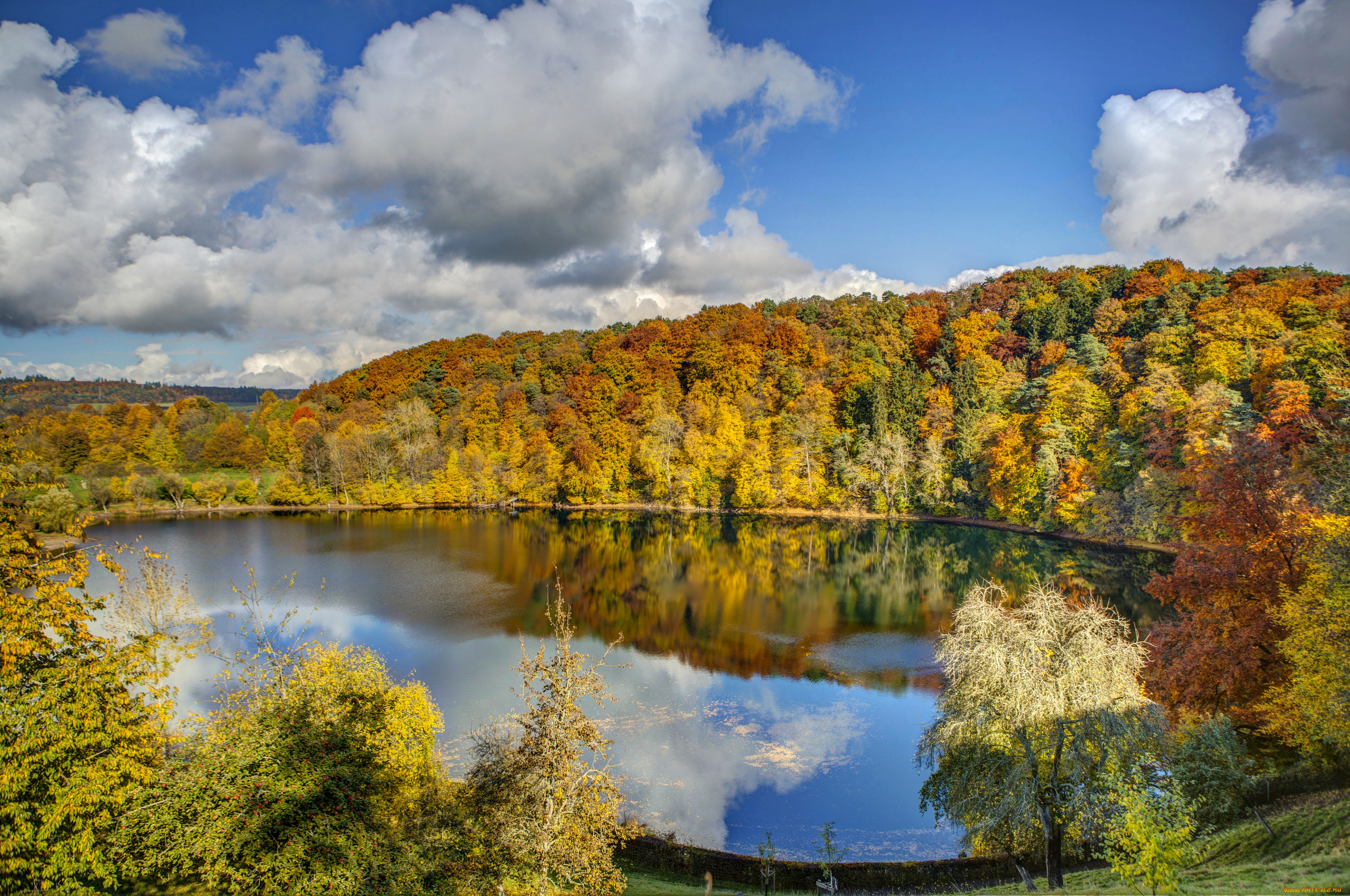 германия, ульмен, природа, реки, озера, река, осень, лес