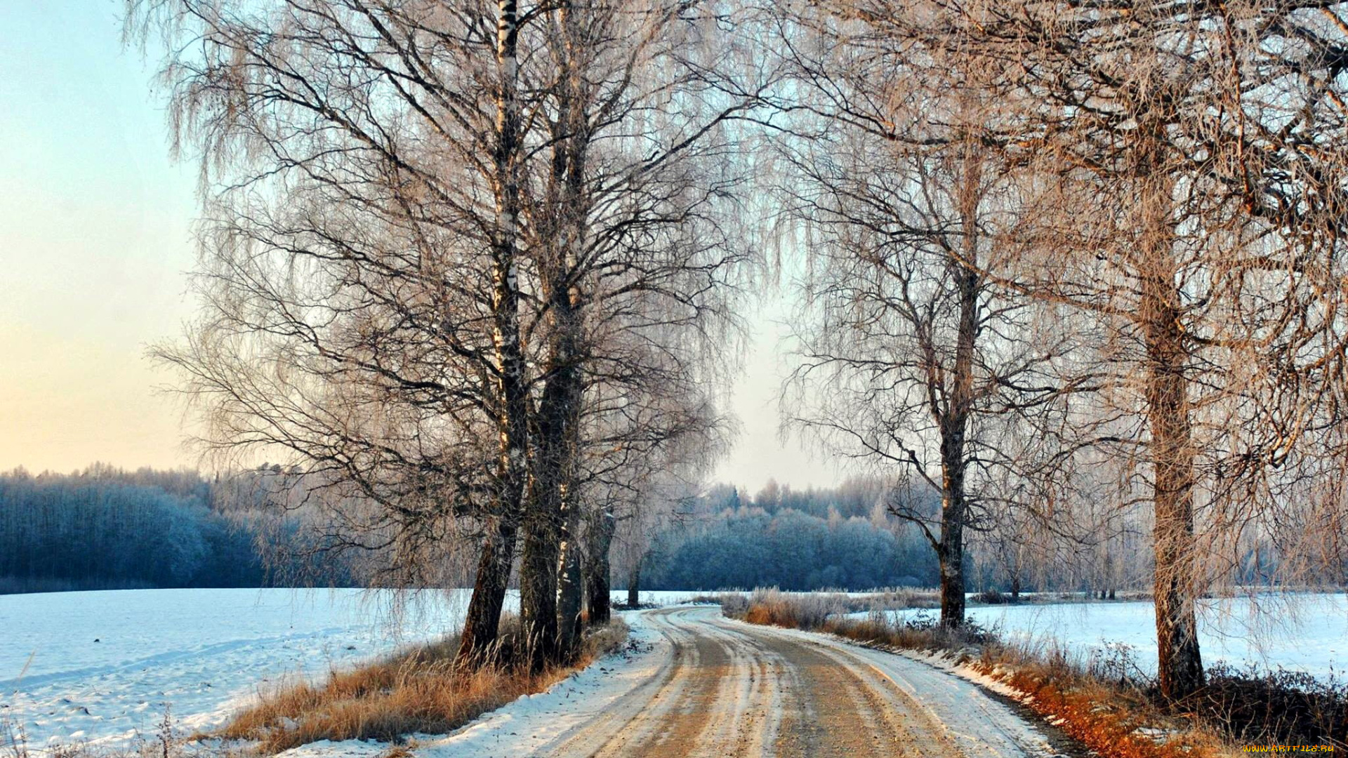 природа, дороги, березы, снег, дорога