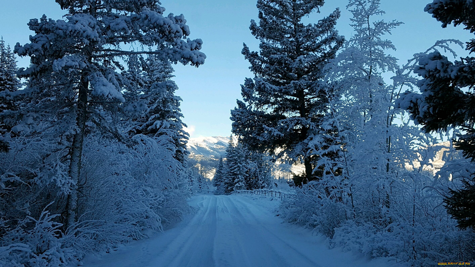 природа, зима, деревья, дорога, снег