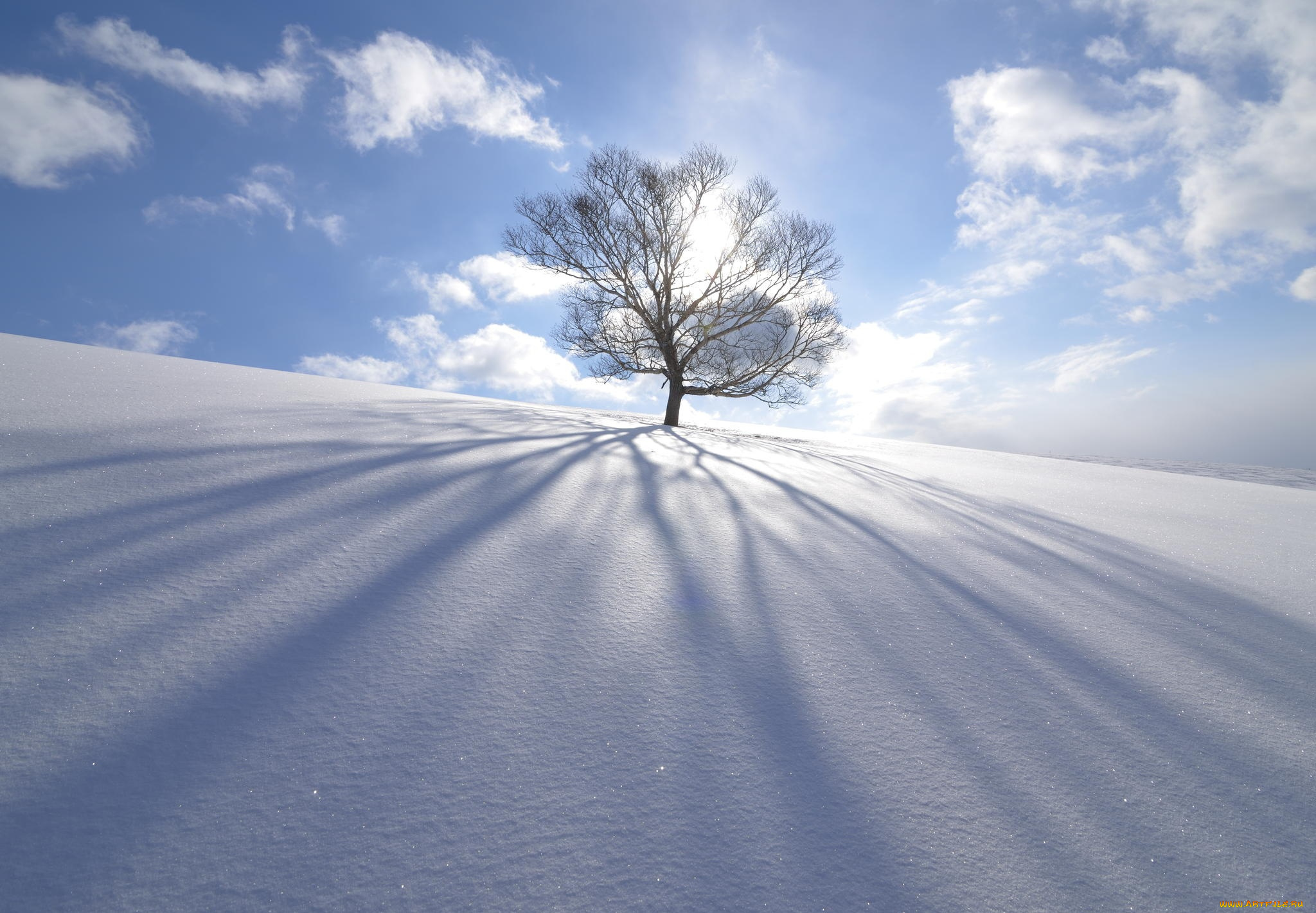 природа, зима, тень, облака, снег, лучи, дерево