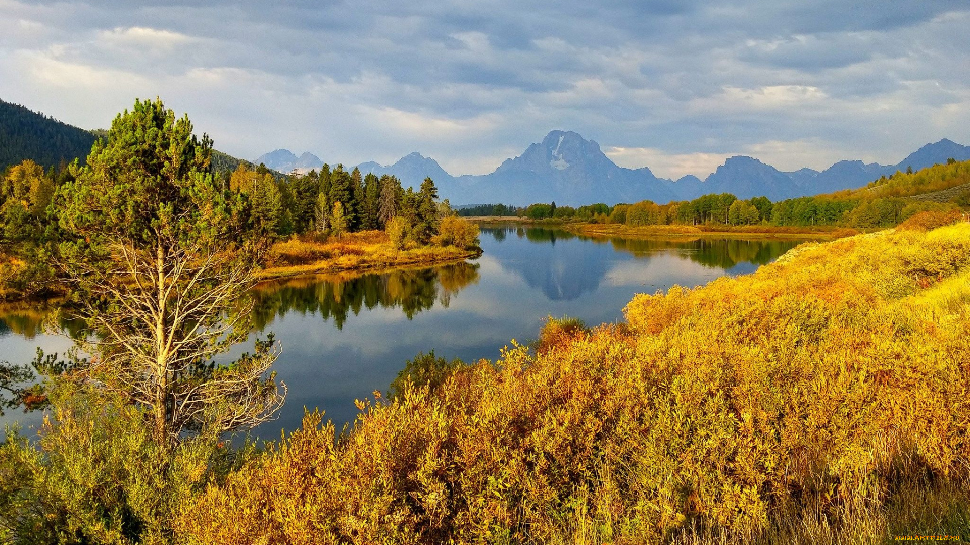 природа, реки, озера, grand, teton, national, park, wyoming, горы, река, деревья