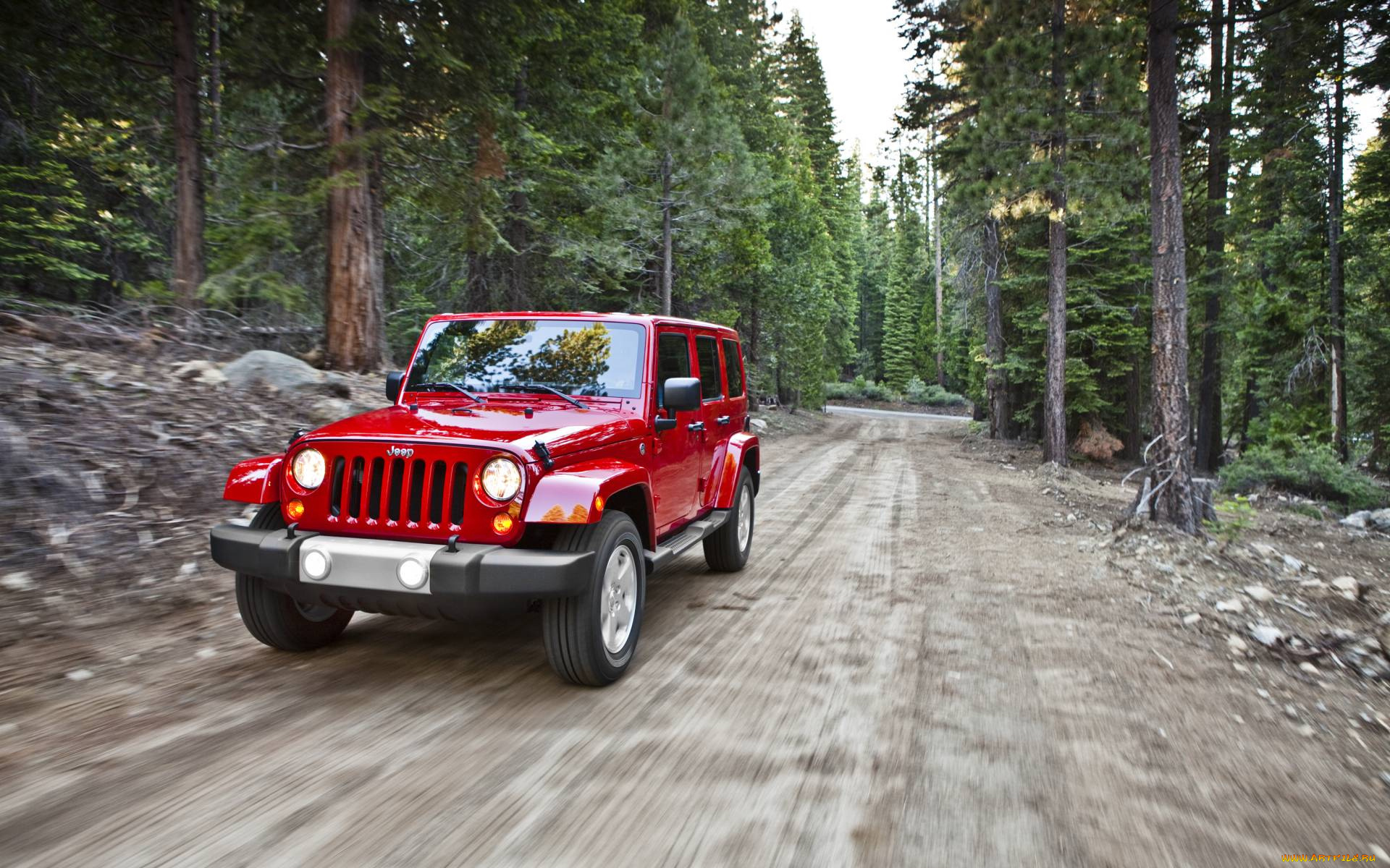 автомобили, jeep