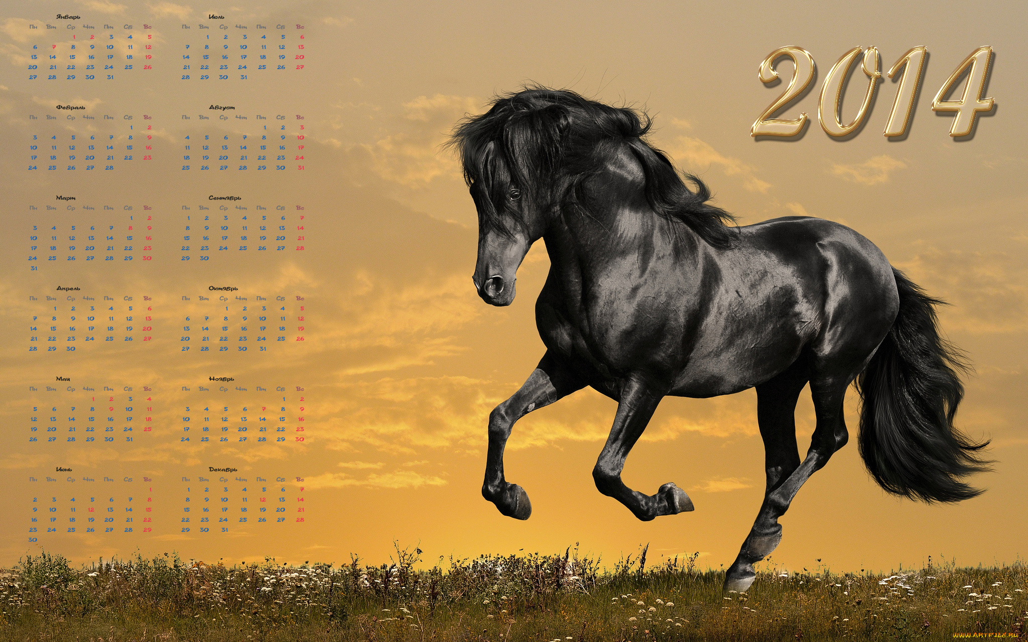 календари, животные, закат, поле, вороная, лошадь