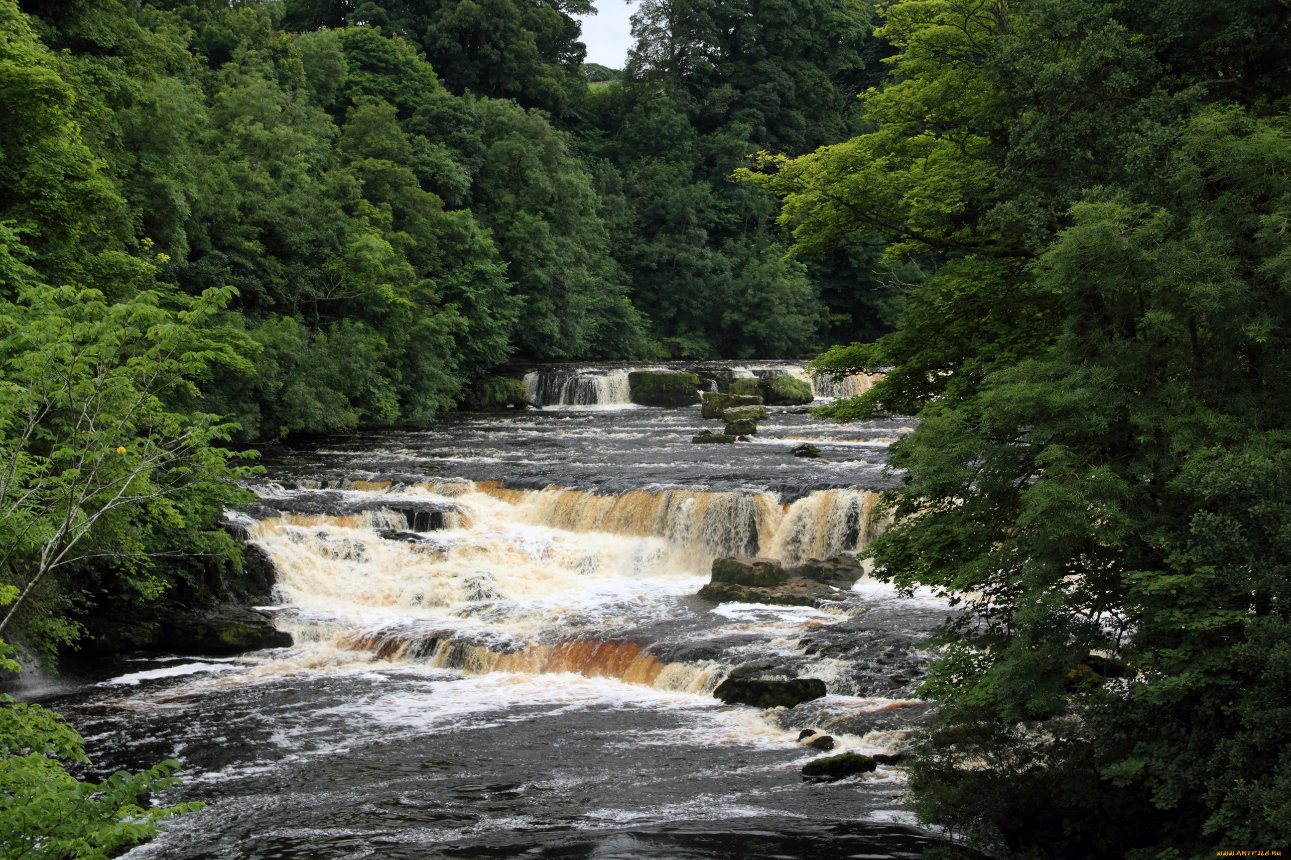 природа, водопады, водопад, англия, yorkshire, aysgarth, falls, река, лес