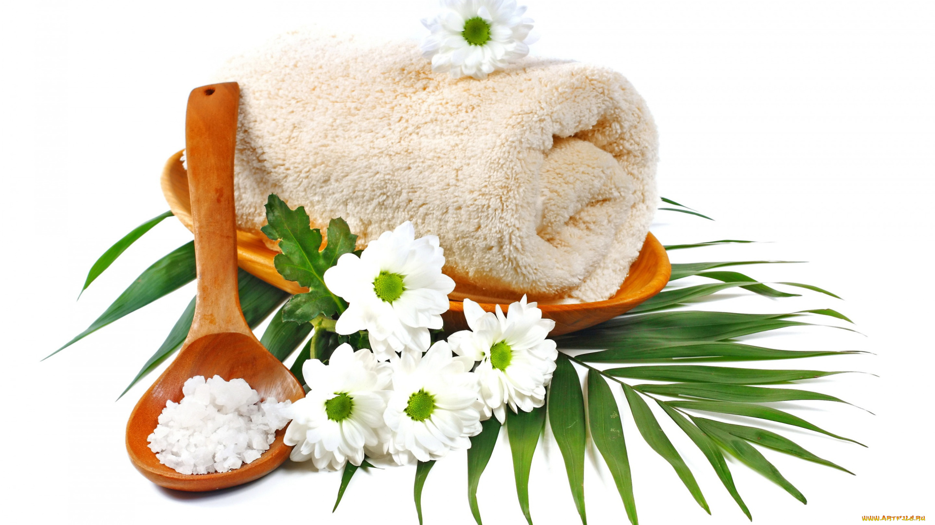 разное, предметы, быта, daisy, flowers, ромашки, цветы, towel, relax, spa, salt, спа, camomile