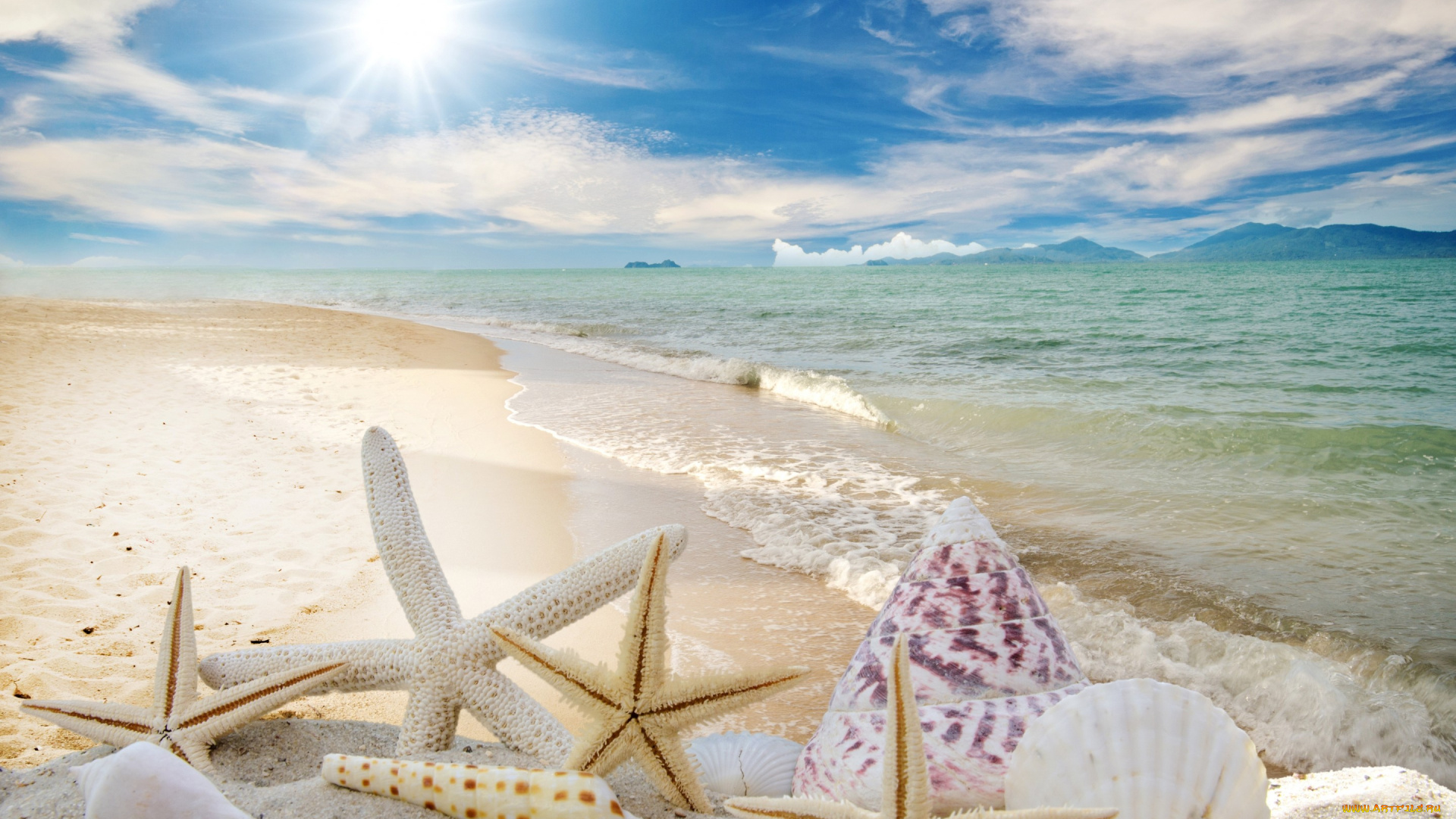 разное, ракушки, , кораллы, , декоративные, и, spa-камни, песок, солнце, beach, starfishes, seashells, море, пляж, звезды, sky, sand, summer, sunshine, sea