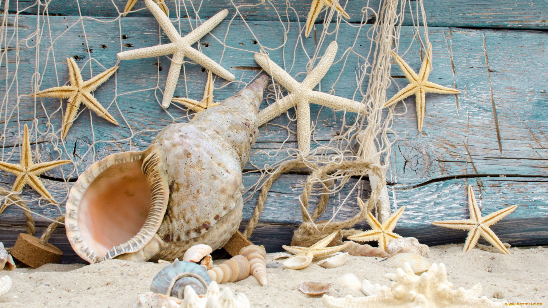 разное, ракушки, , кораллы, , декоративные, и, spa-камни, пляж, wood, marine, sand, beach, starfishes, seashells, звезды, песок