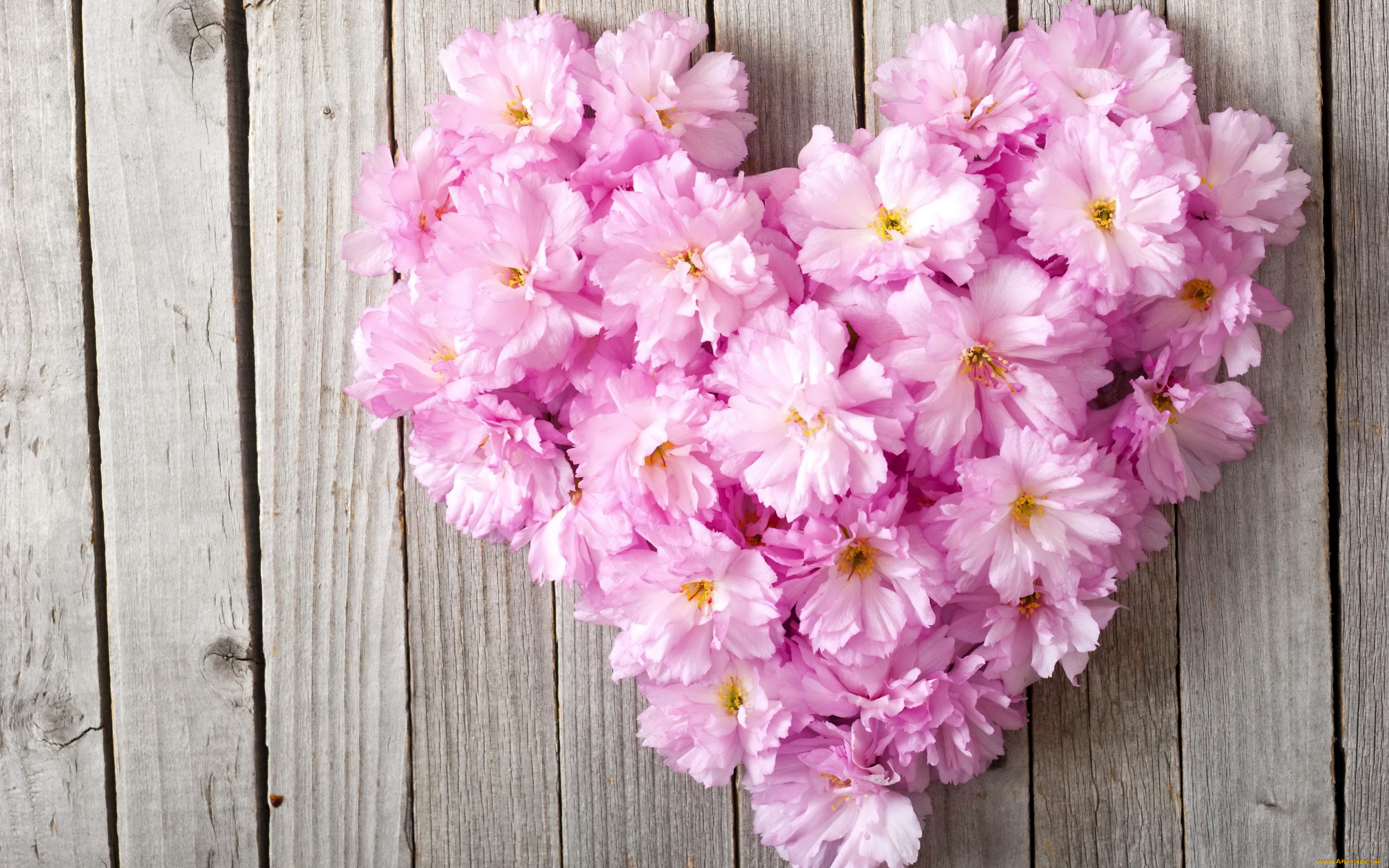цветы, букеты, , композиции, сердце, love, pink, heart, floral
