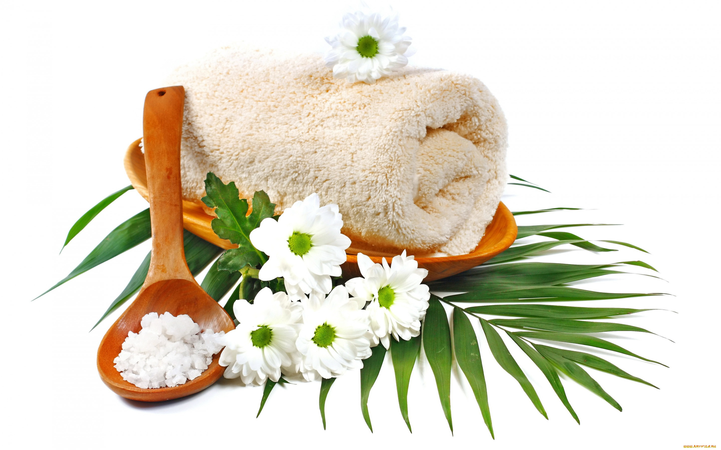 разное, предметы, быта, daisy, flowers, ромашки, цветы, towel, relax, spa, salt, спа, camomile