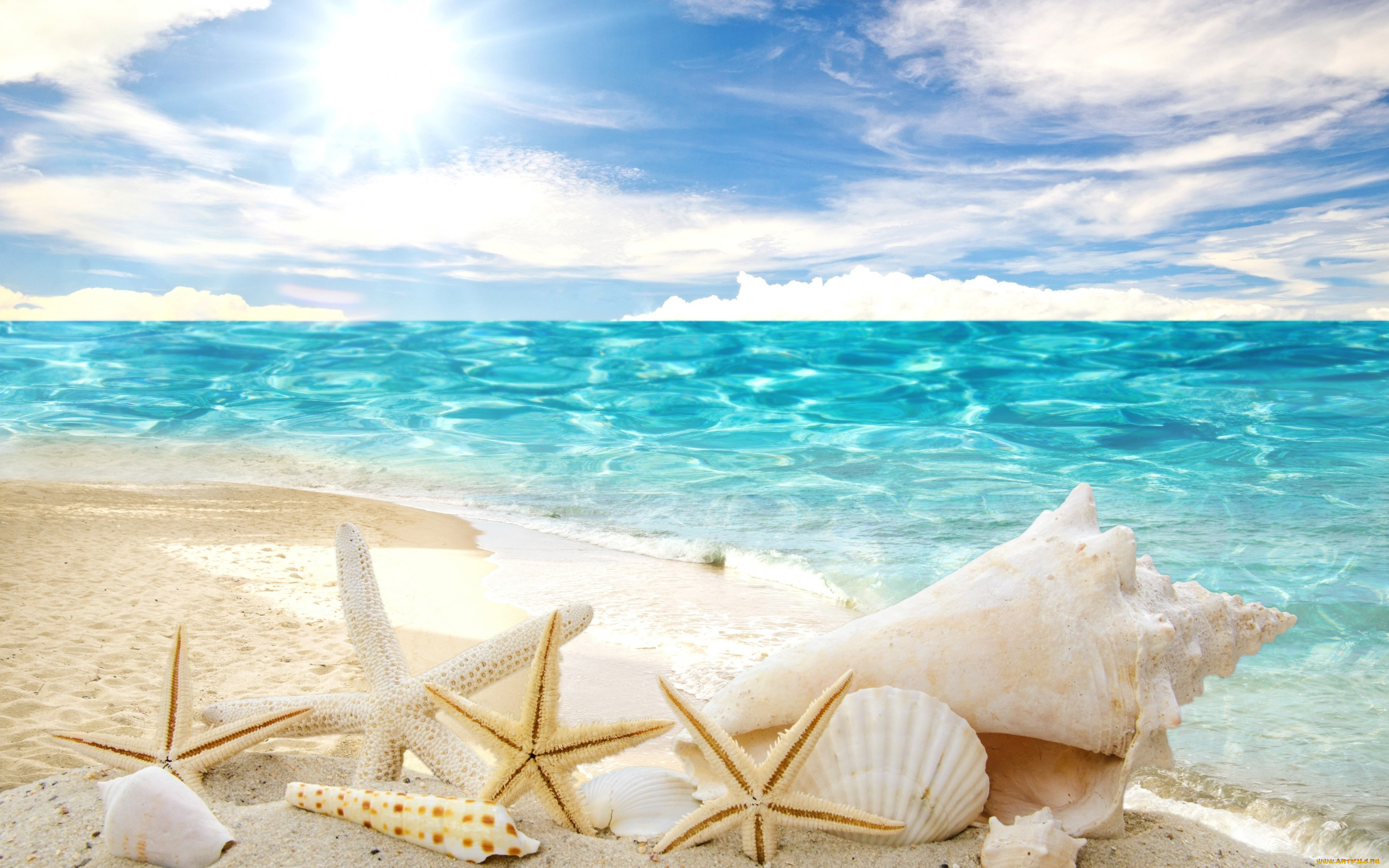 разное, ракушки, , кораллы, , декоративные, и, spa-камни, summer, sand, sunshine, sea, beach, пляж, звезды, песок, солнце, море, starfishes, seashells