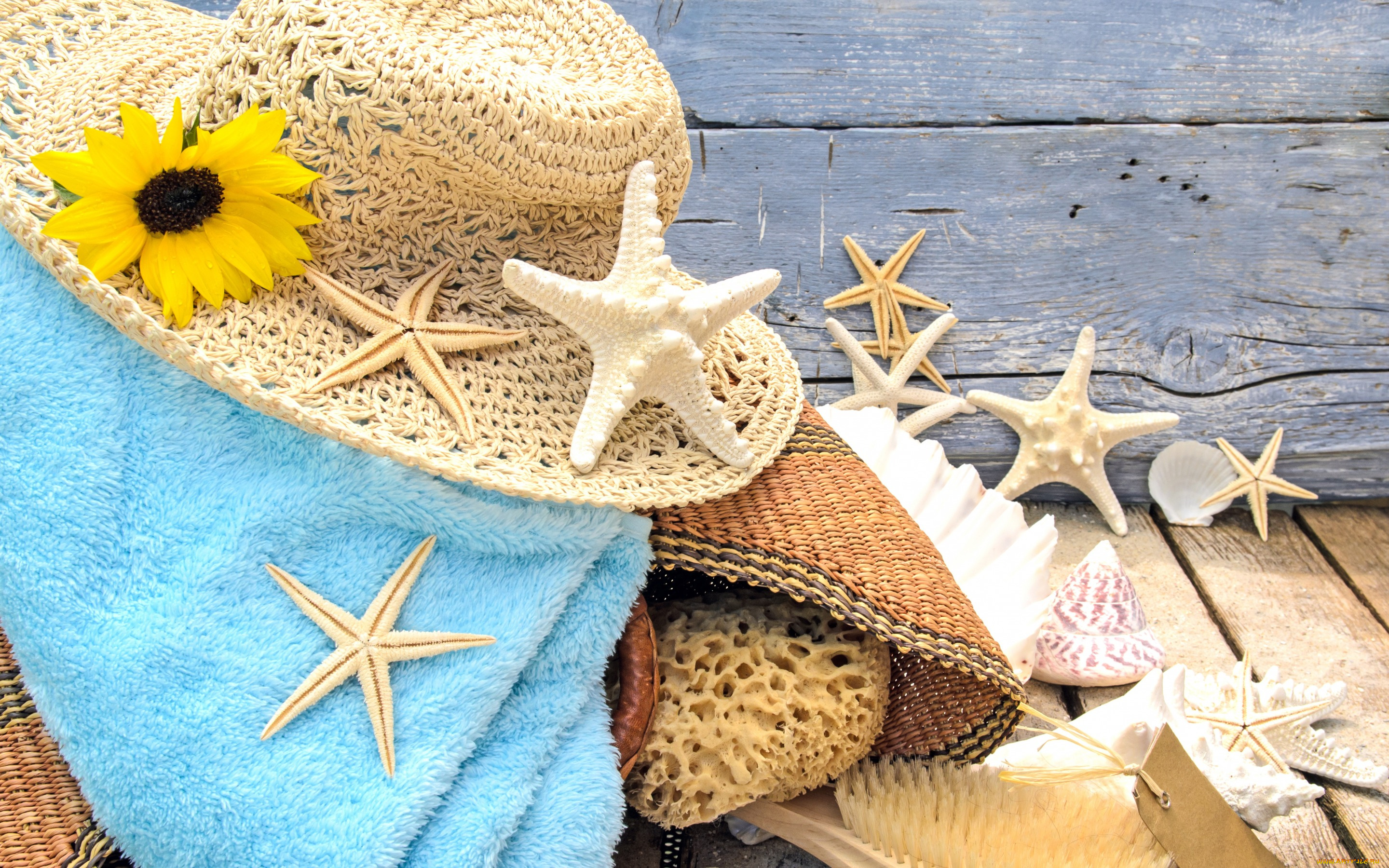разное, ракушки, , кораллы, , декоративные, и, spa-камни, wood, beach, sand, песок, шляпа, аксессуары, starfishes, seashells, пляж, звезды