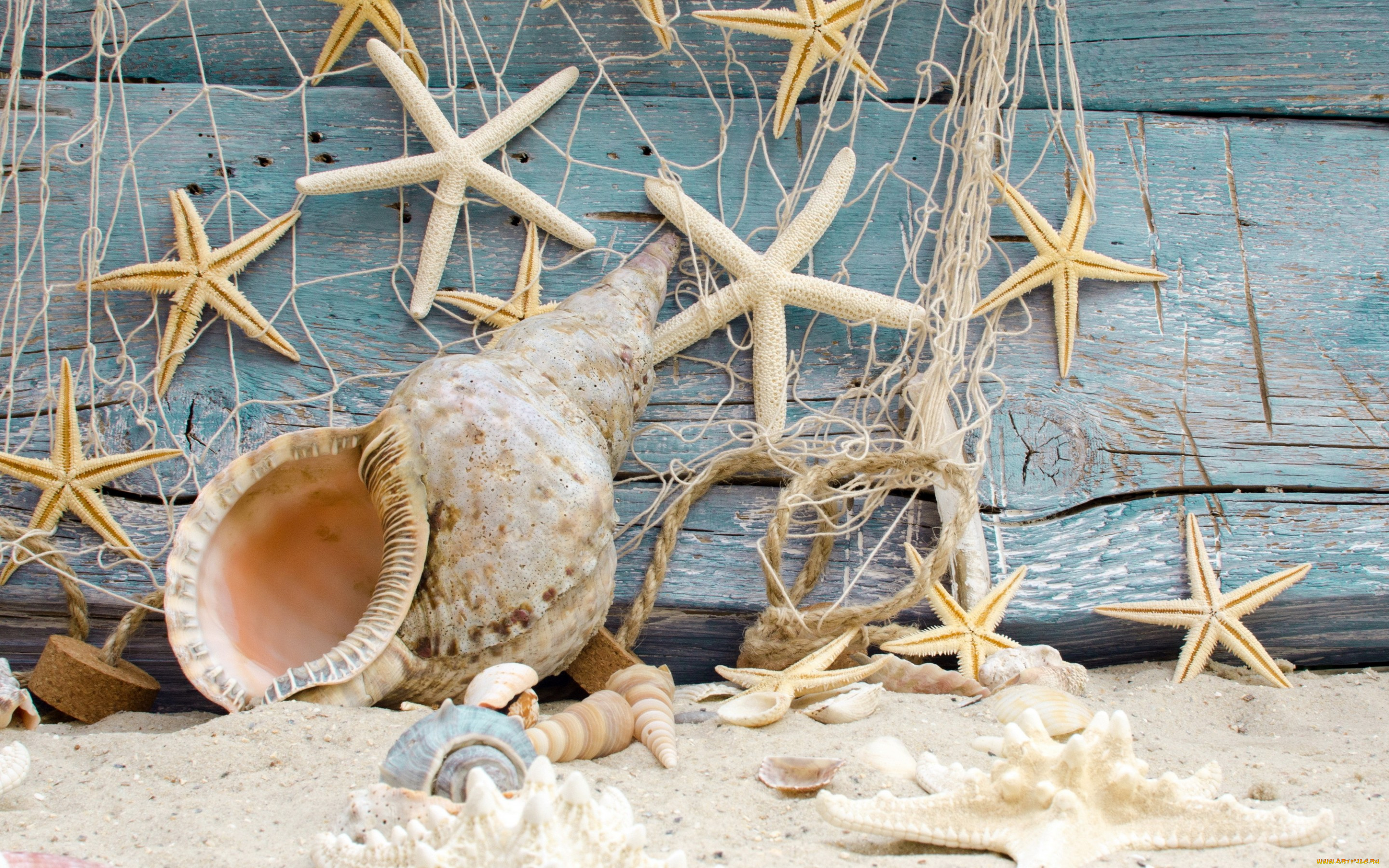 разное, ракушки, , кораллы, , декоративные, и, spa-камни, пляж, wood, marine, sand, beach, starfishes, seashells, звезды, песок