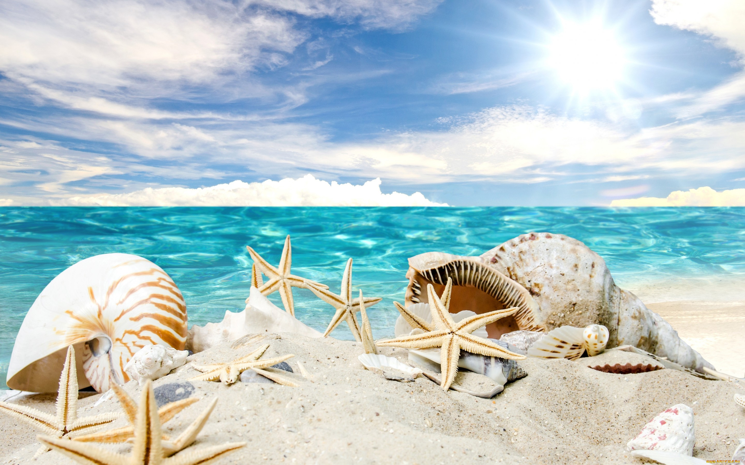 разное, ракушки, , кораллы, , декоративные, и, spa-камни, sand, summer, море, пляж, звезды, песок, солнце, beach, starfishes, seashells, sunshine, sea