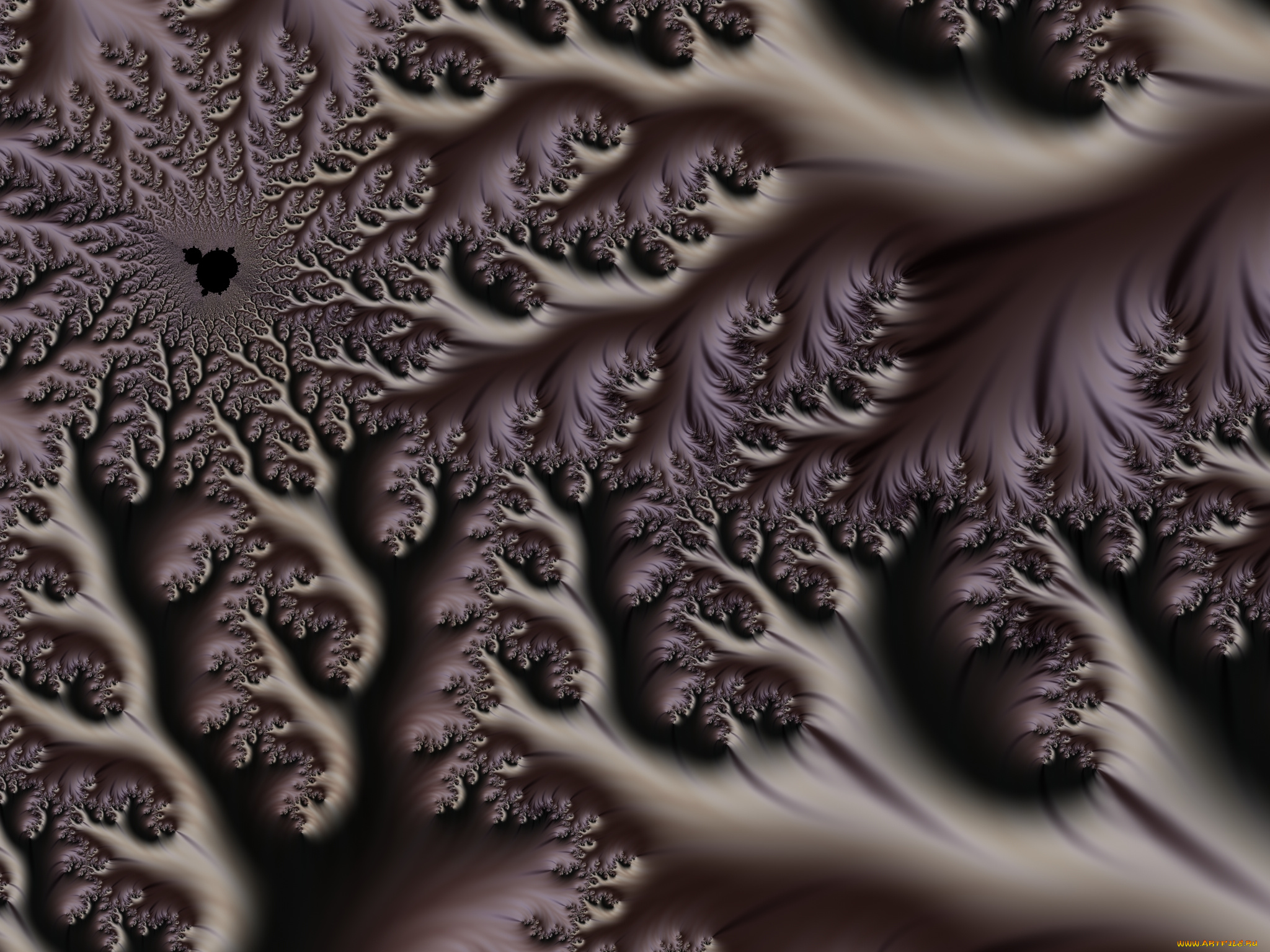 3д, графика, фракталы, , fractal, цвета, фон, узор