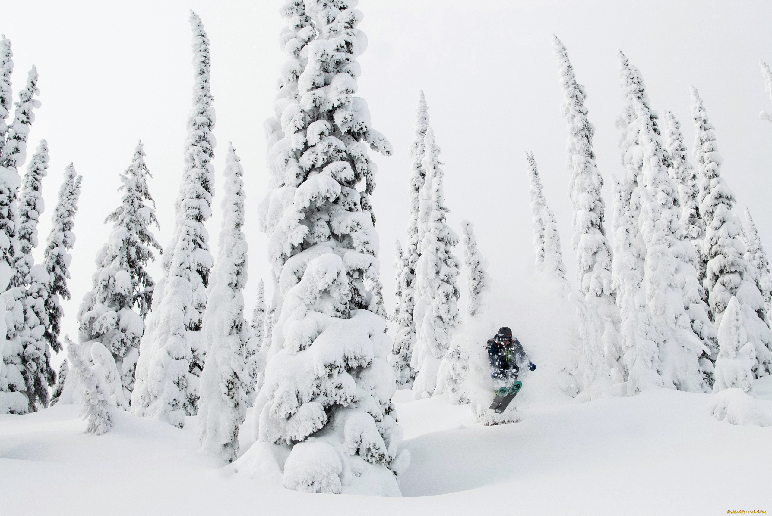 спорт, лыжный, спорт, горнолыжный, деревья, снег